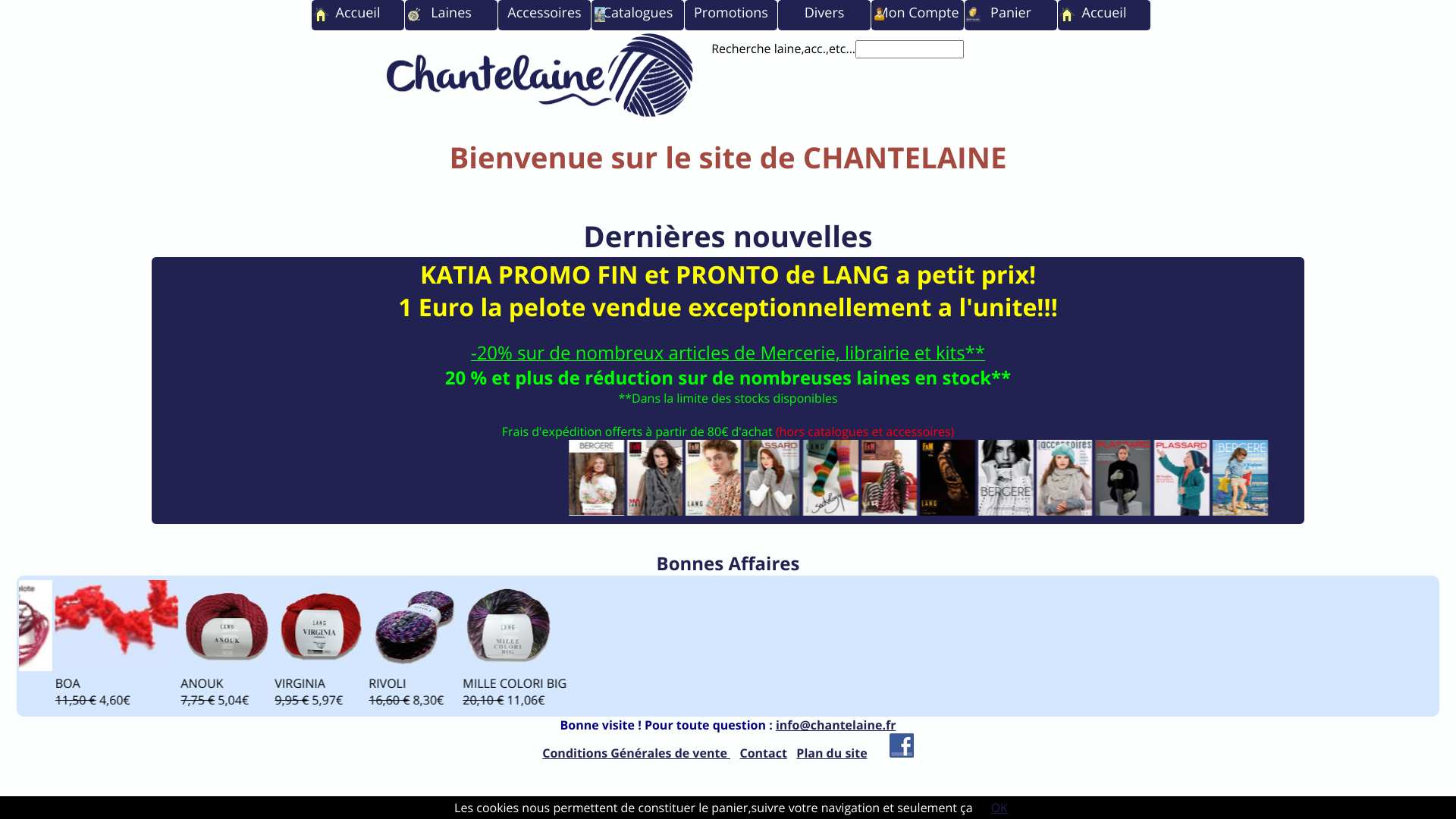 Aperçu du site