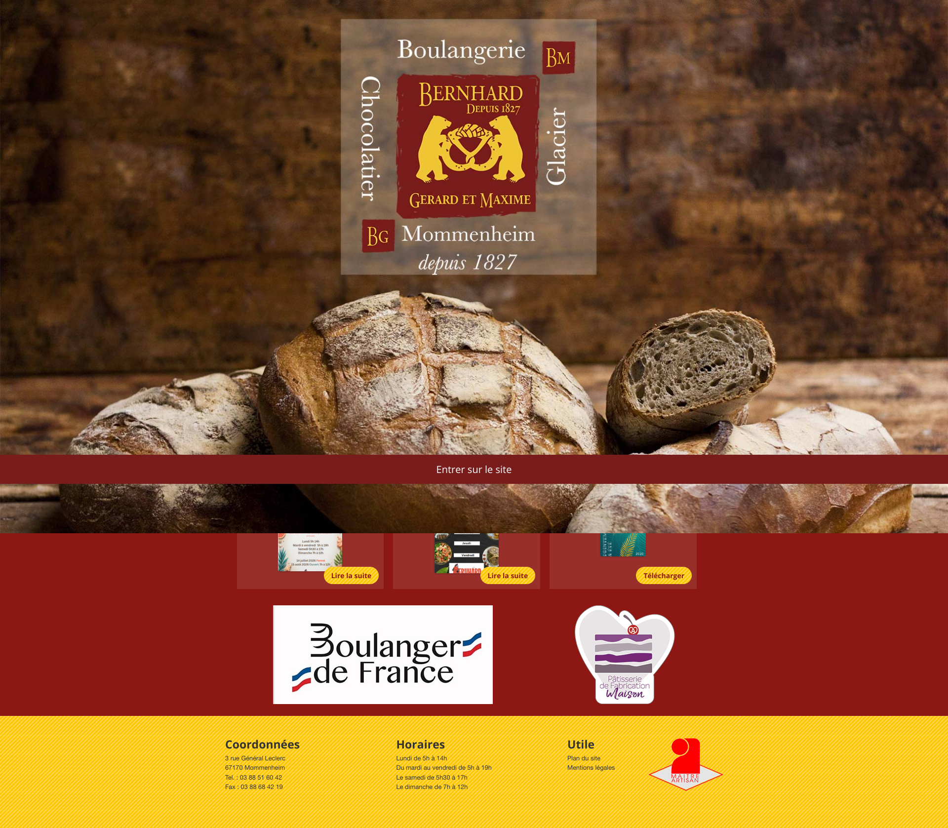 Aperçu du site
