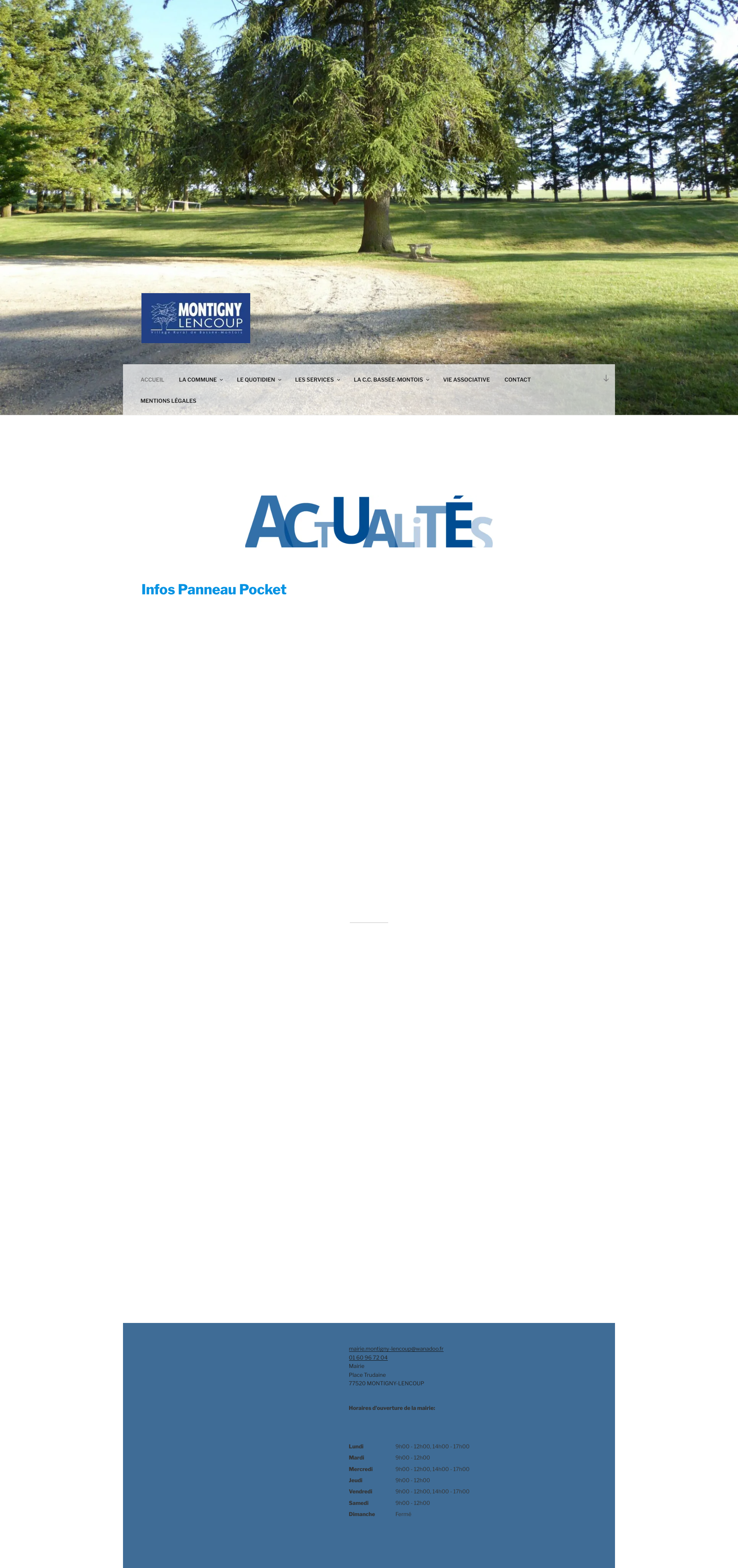 Aperçu du site