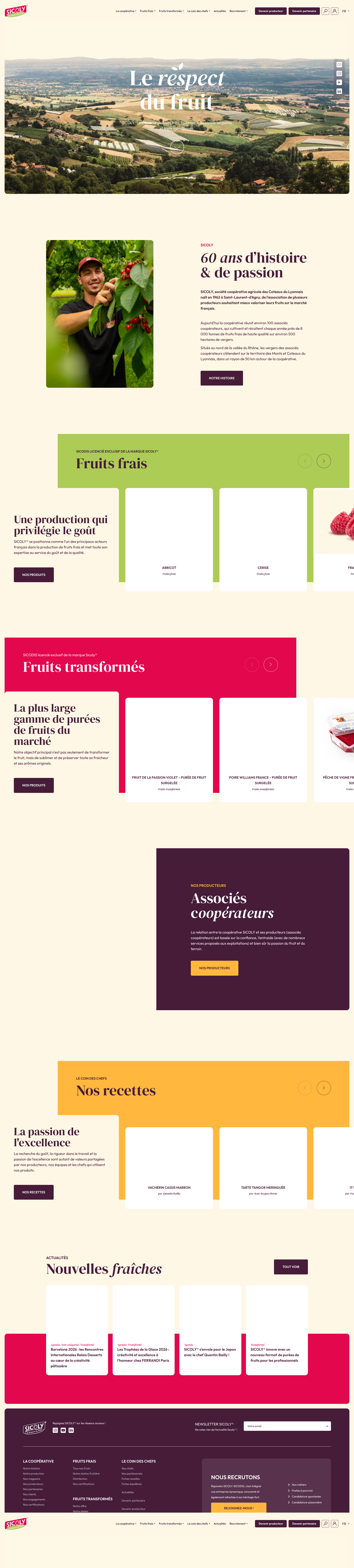 Aperçu du site