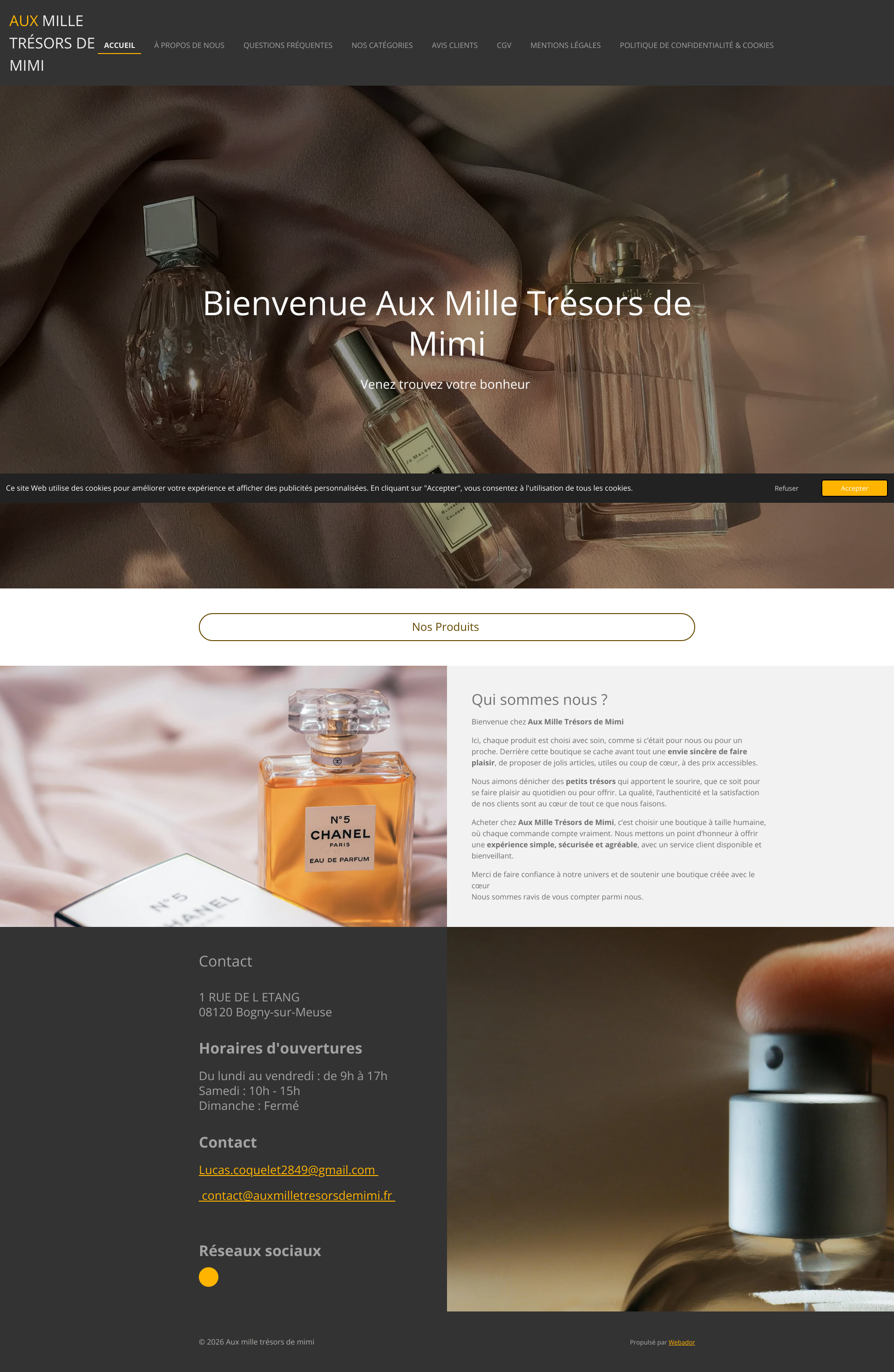 Aperçu du site