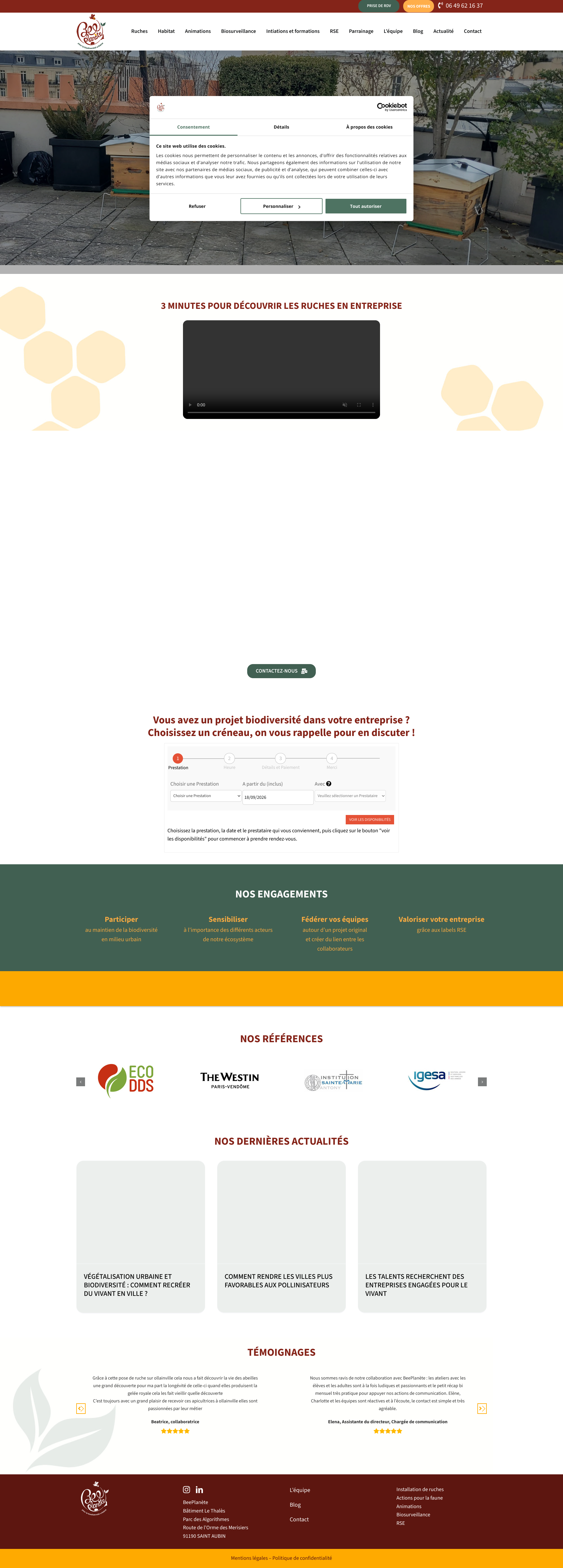 Aperçu du site