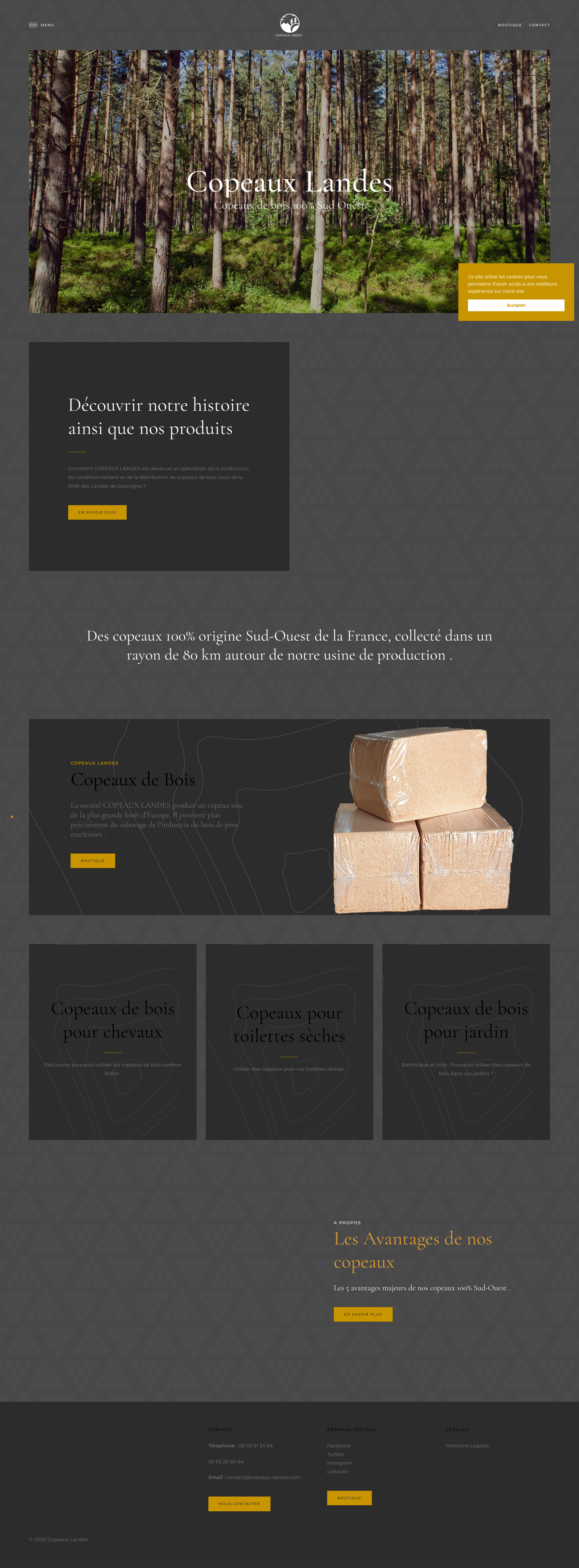 Aperçu du site
