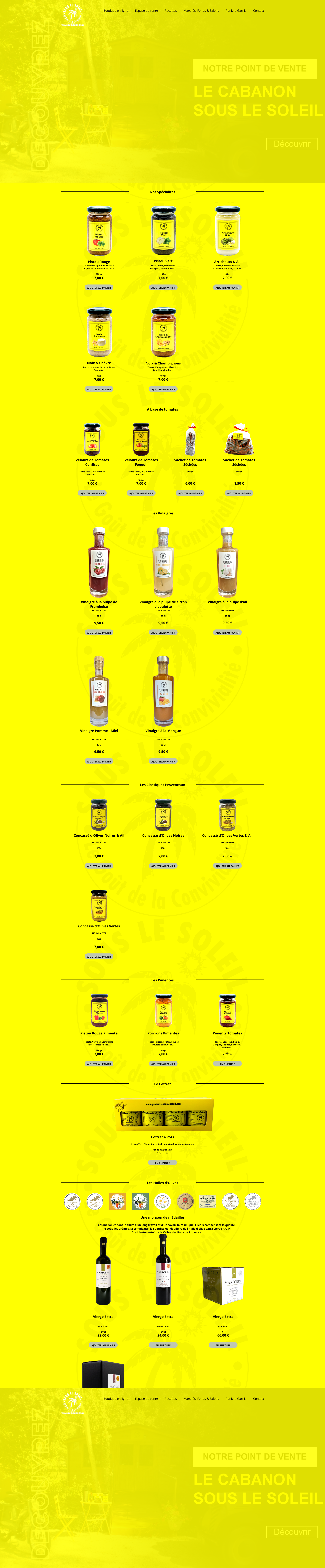 Aperçu du site