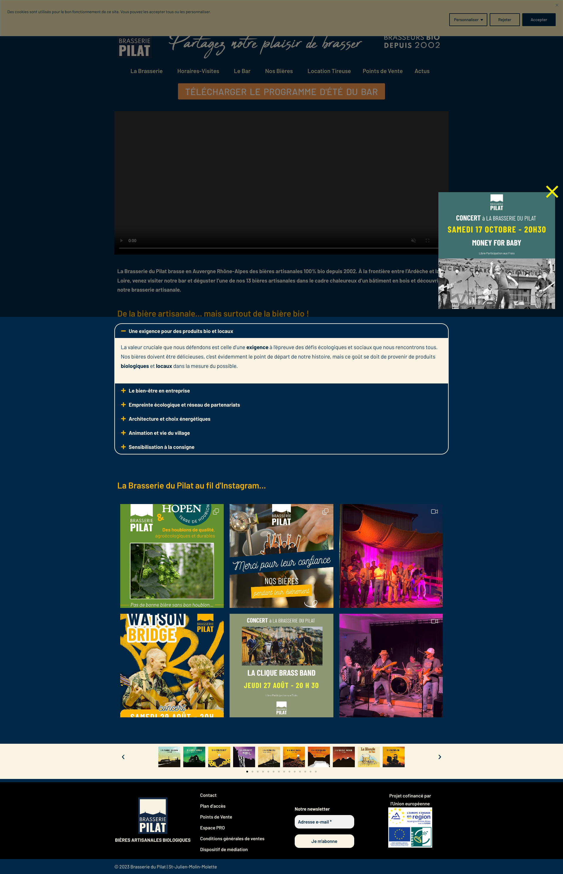 Aperçu du site