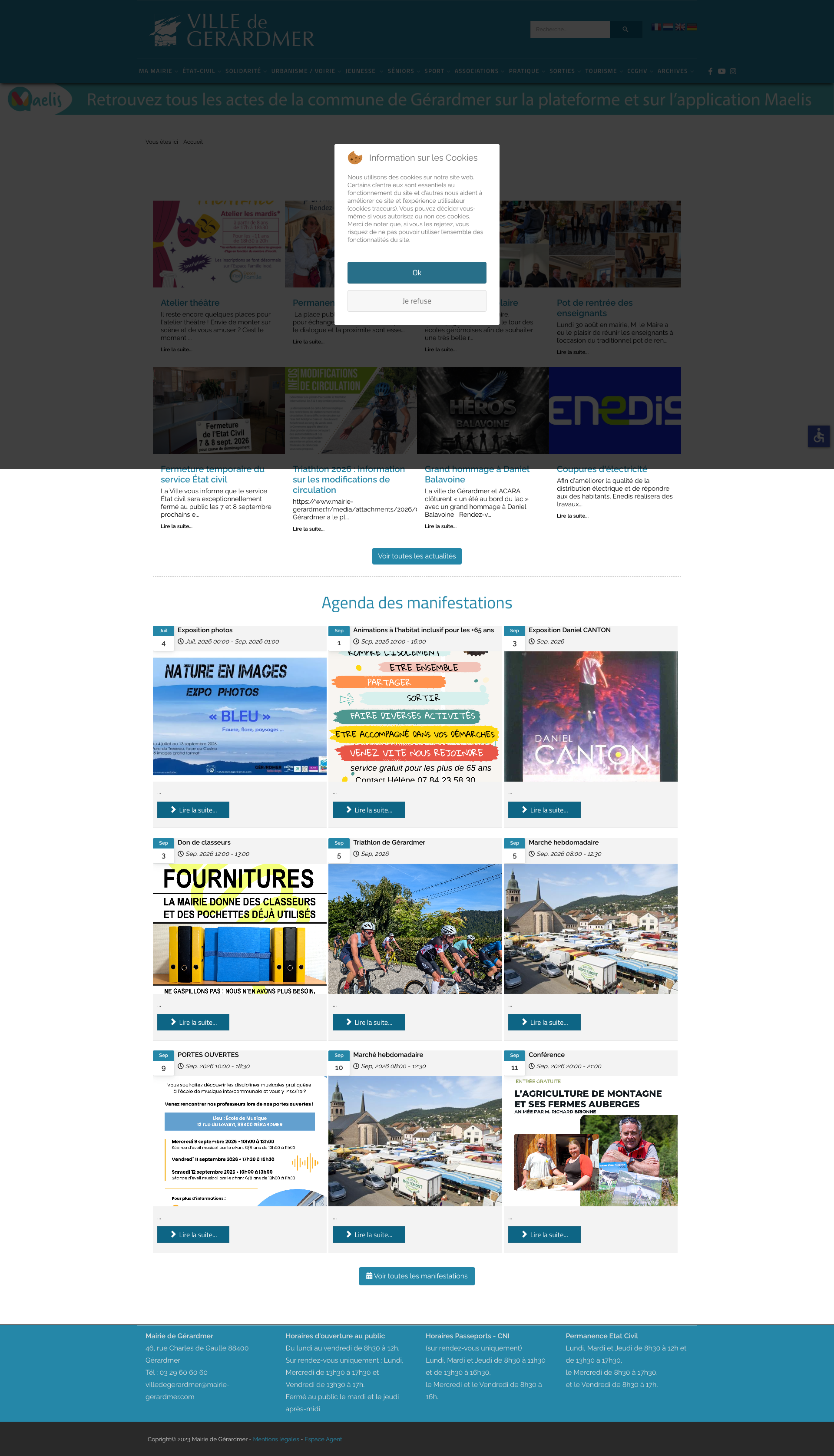 Aperçu du site