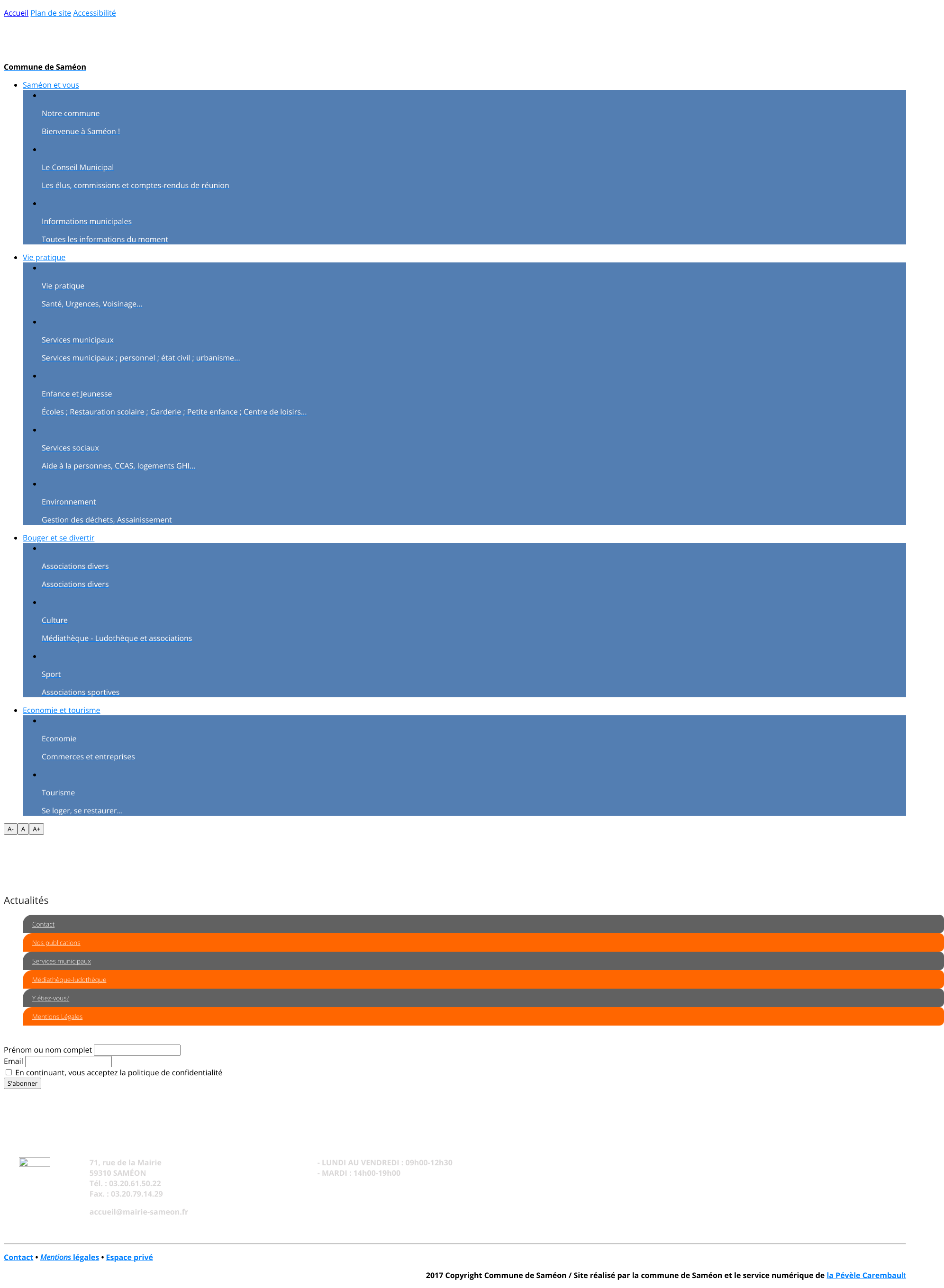 Aperçu du site