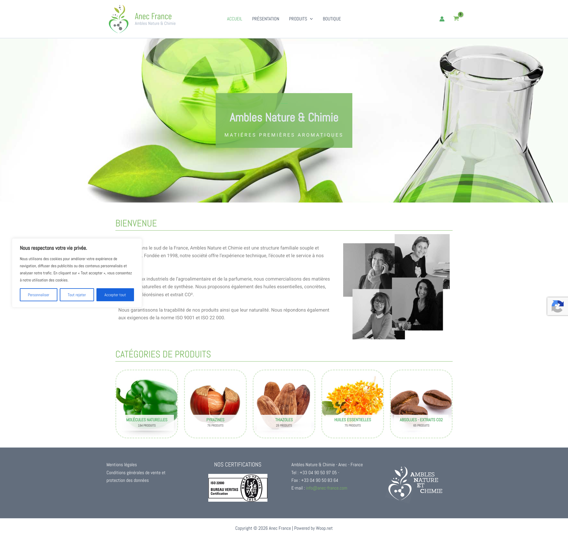 Aperçu du site