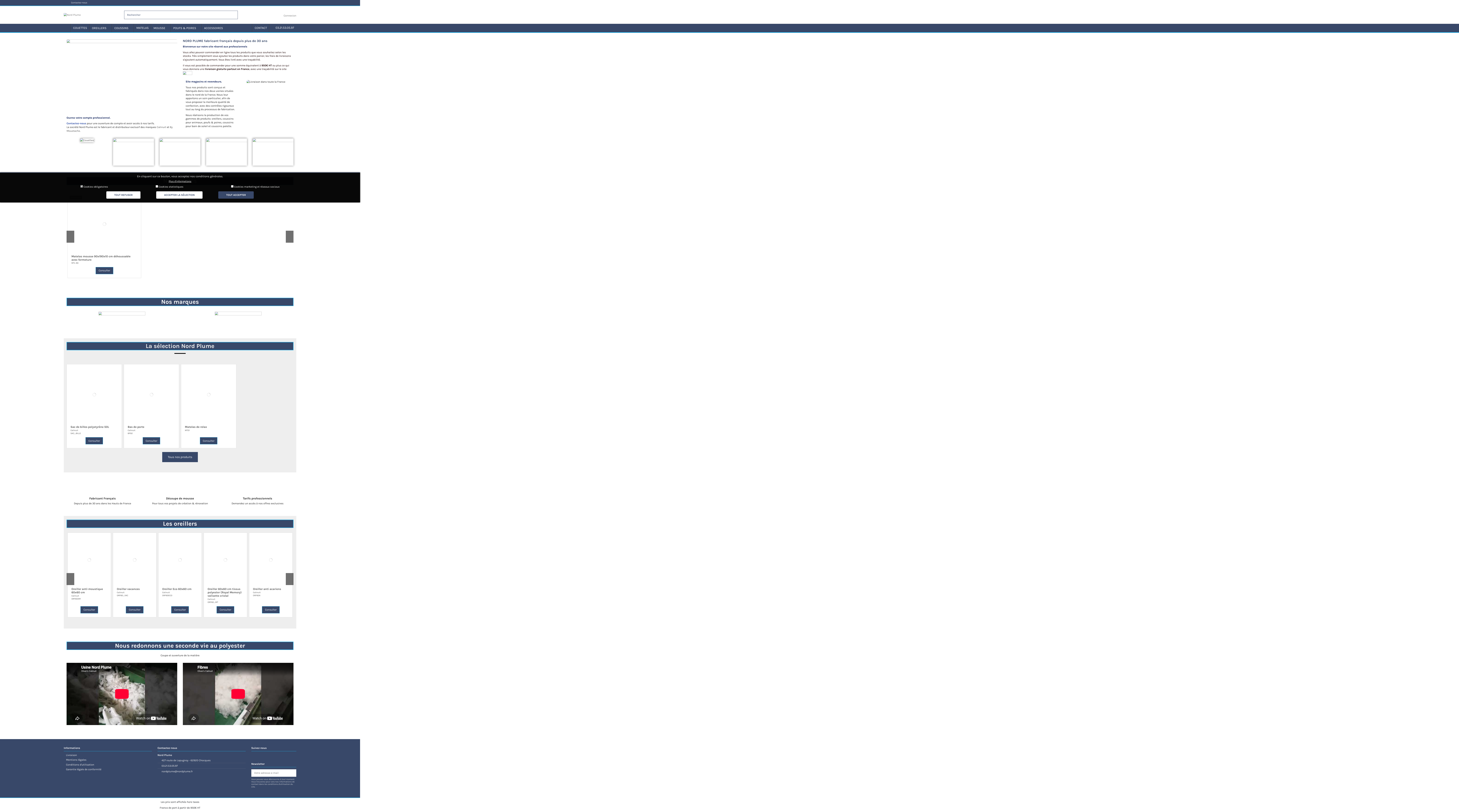 Aperçu du site