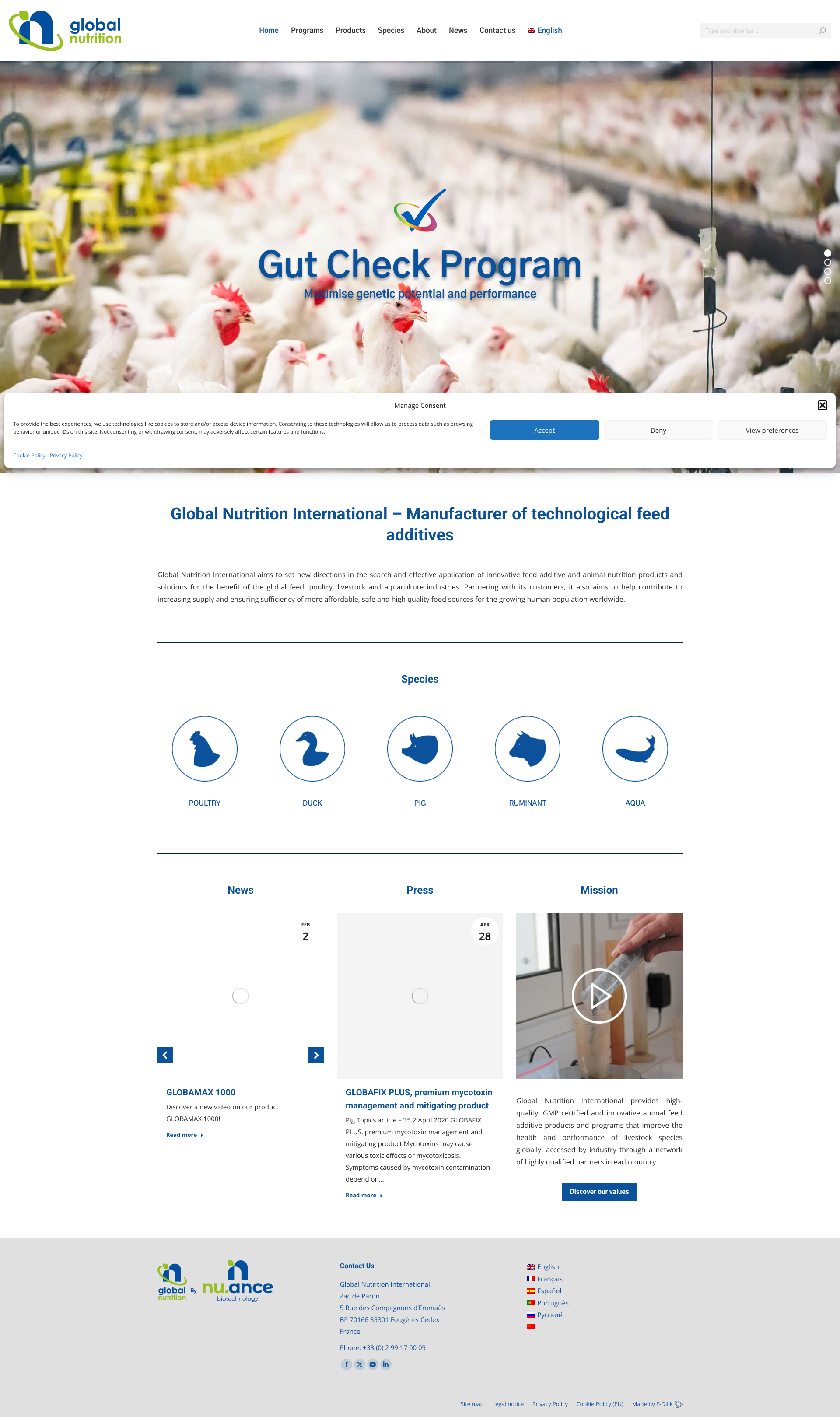 Aperçu du site