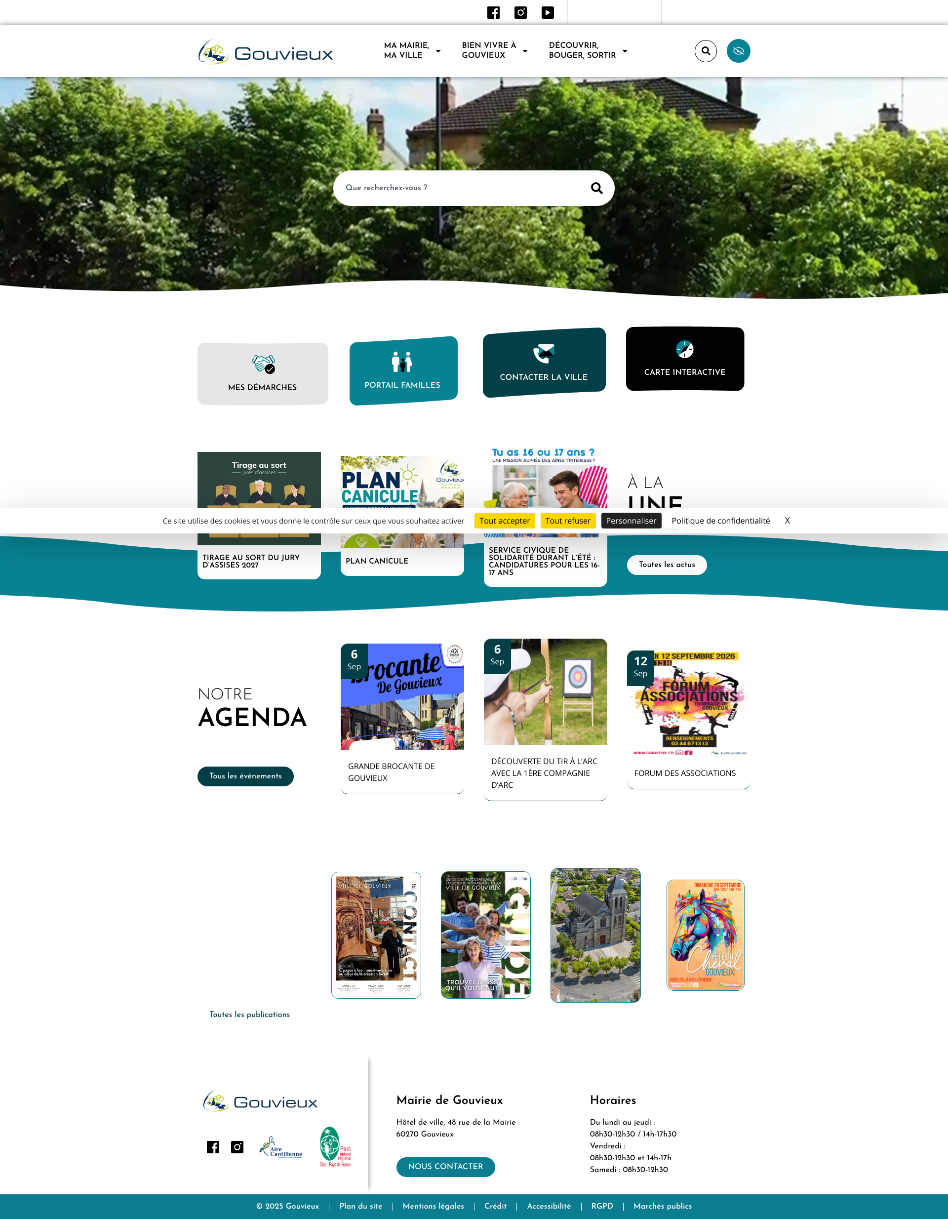 Aperçu du site