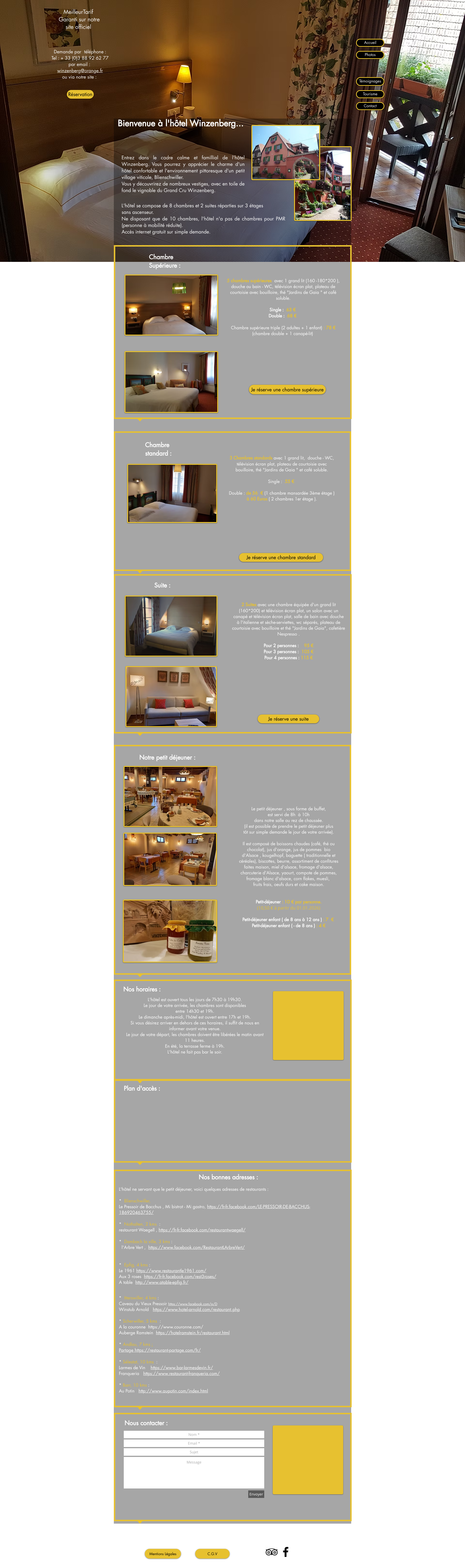 Aperçu du site
