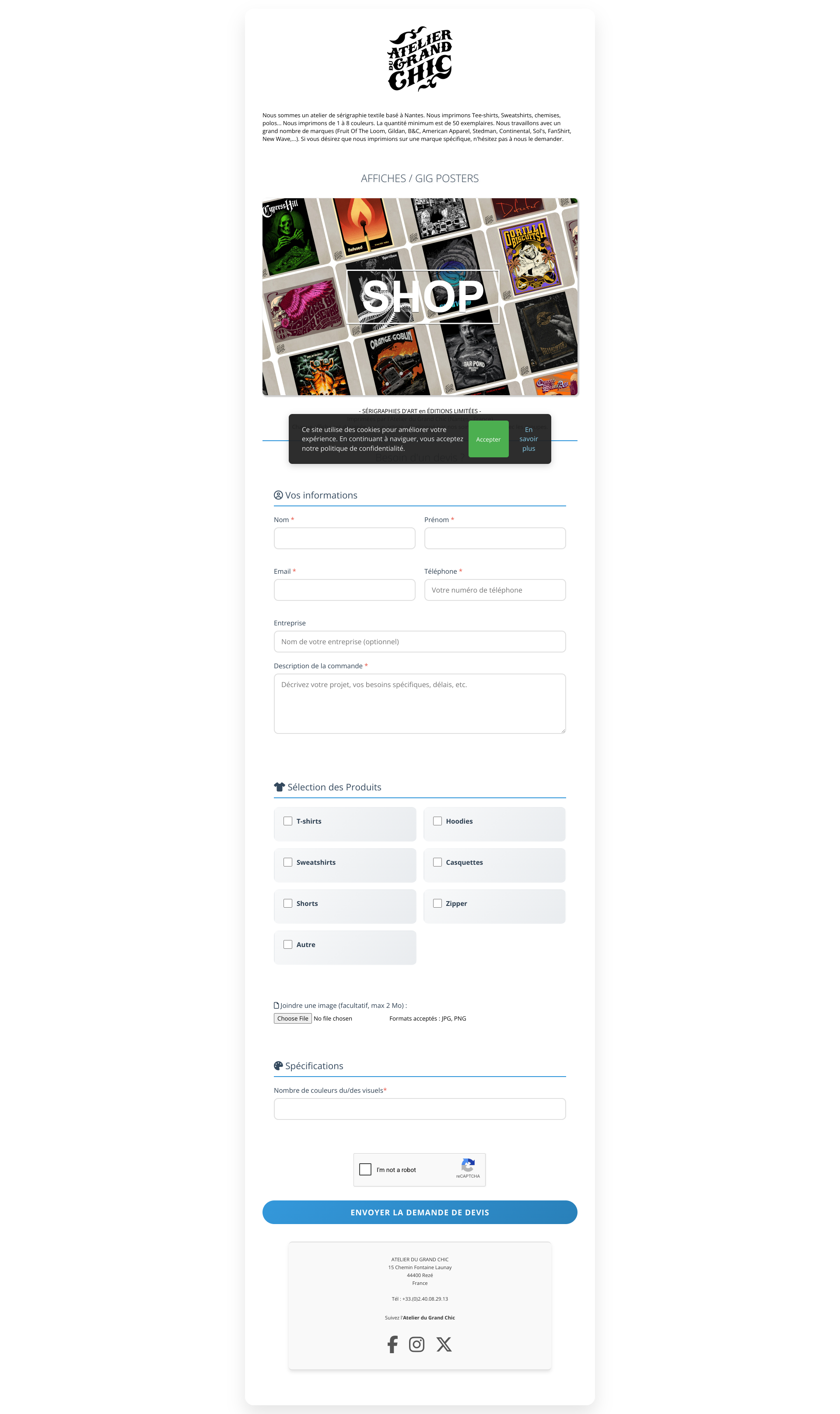 Aperçu du site