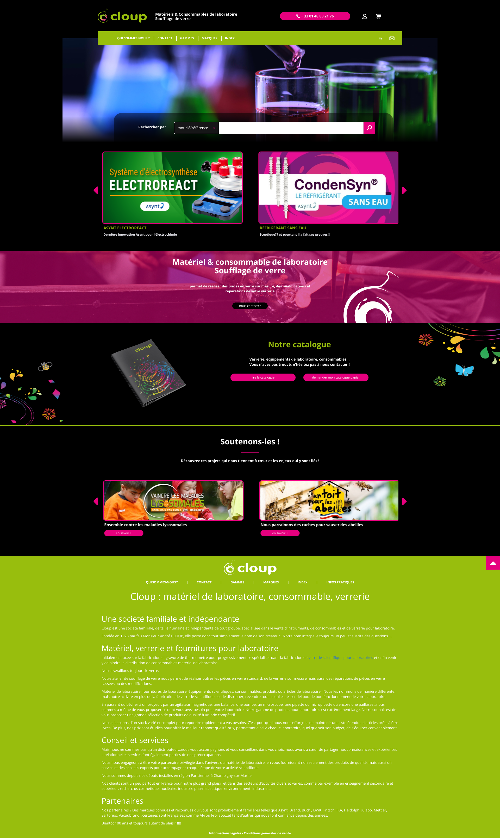 Aperçu du site