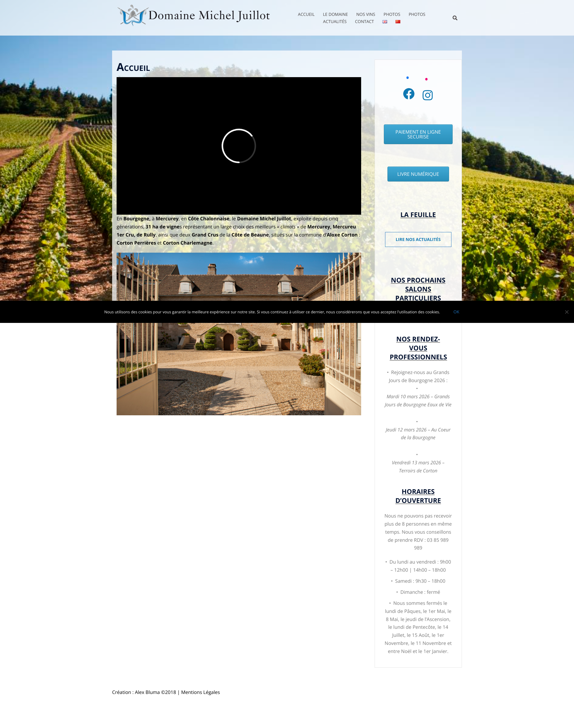 Aperçu du site