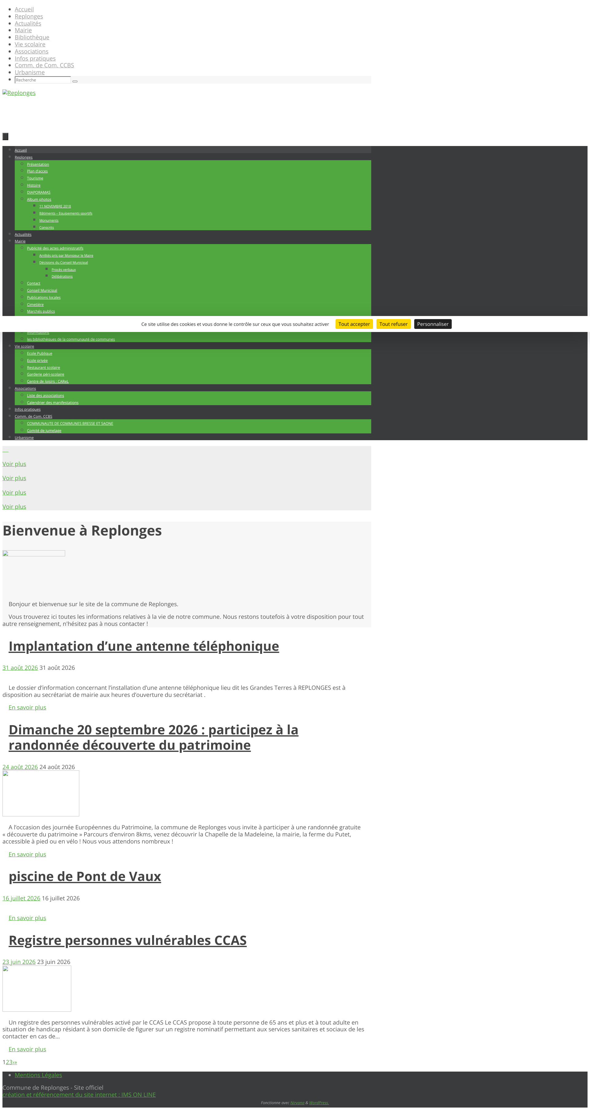 Aperçu du site