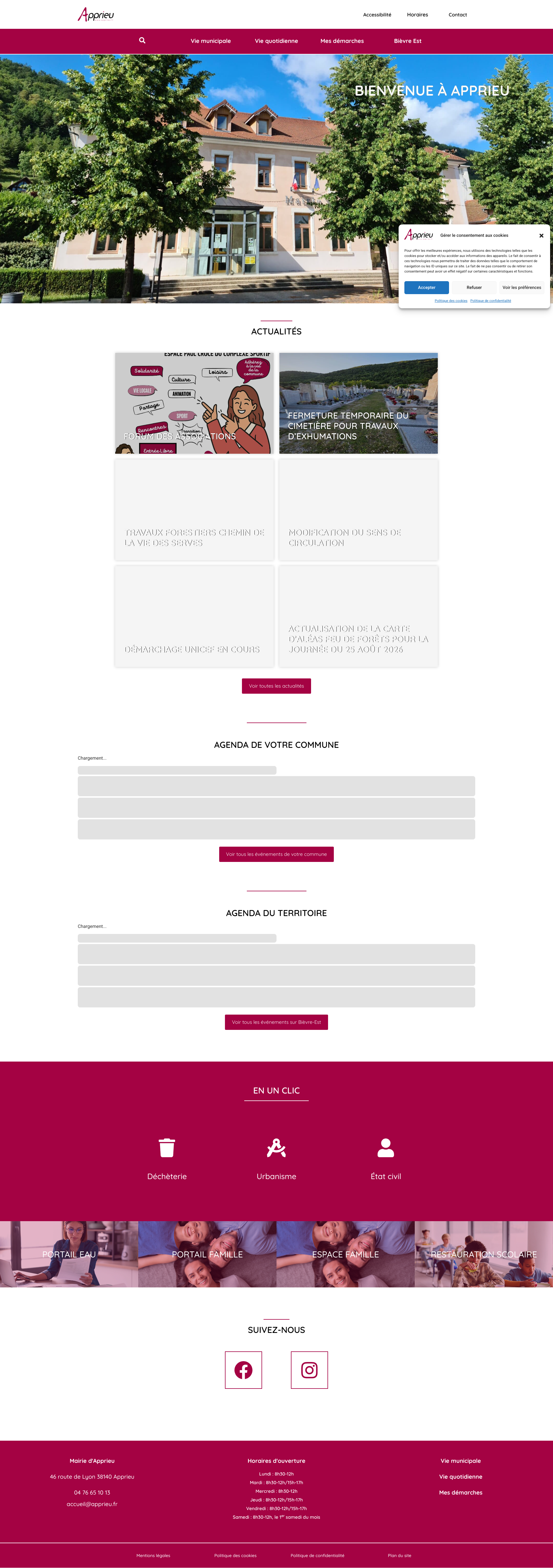 Aperçu du site