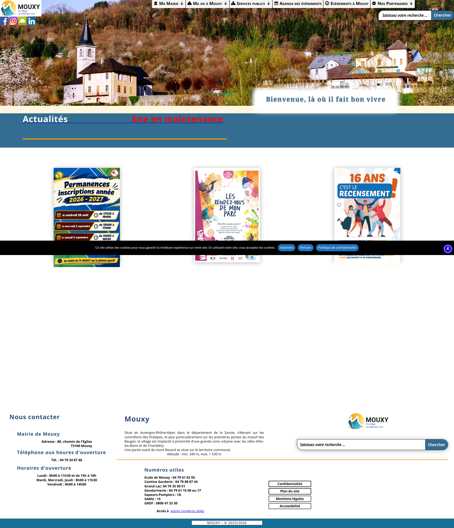 Aperçu du site