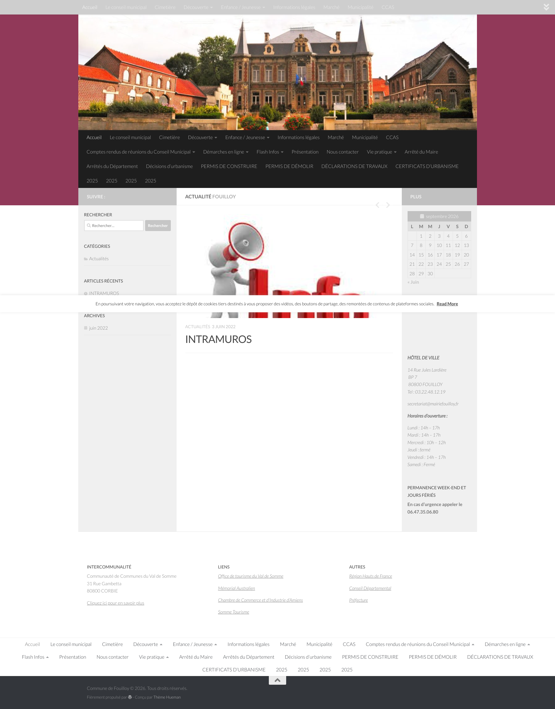 Aperçu du site