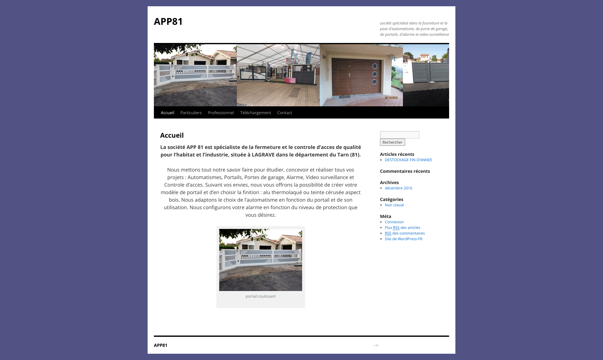 Aperçu du site
