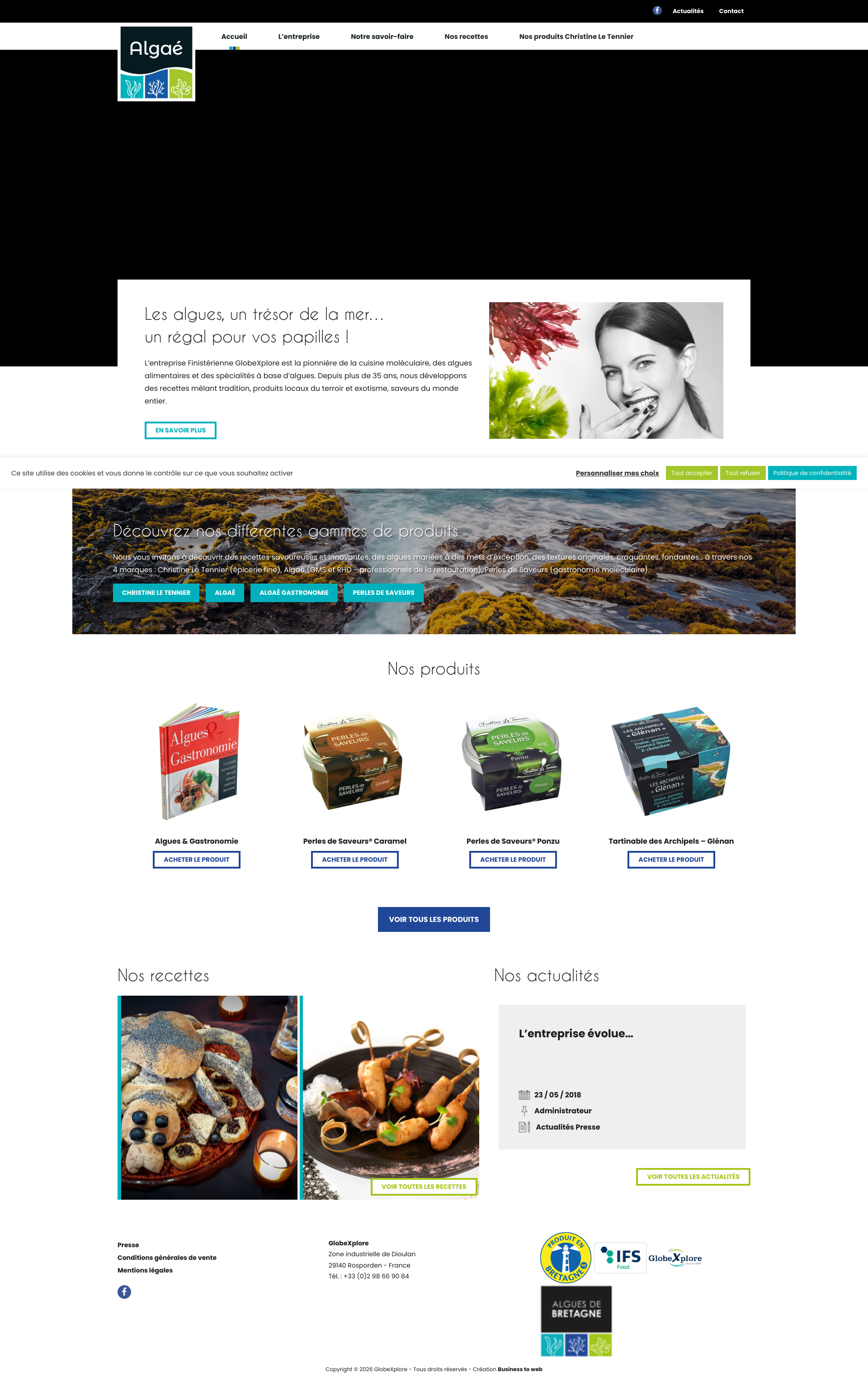 Aperçu du site