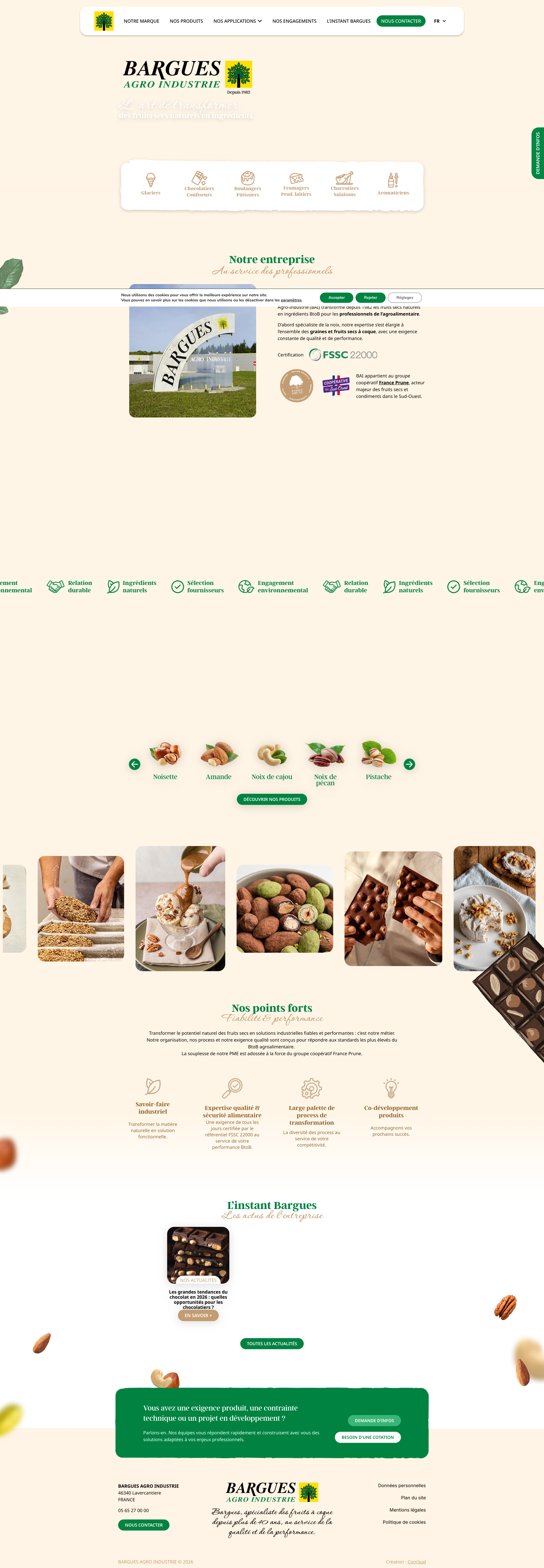 Aperçu du site