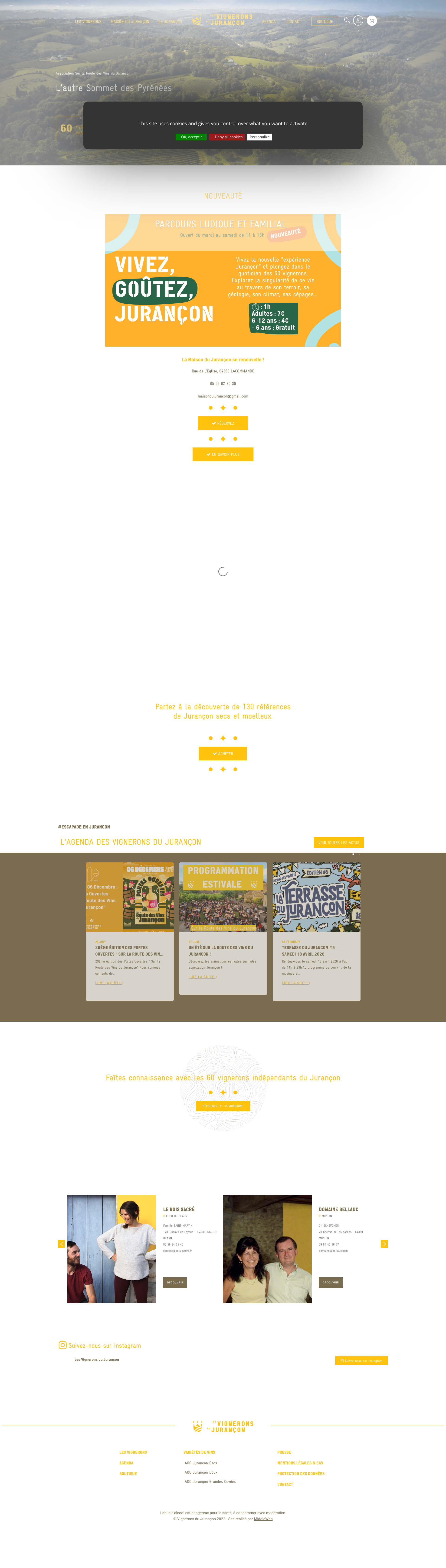Aperçu du site