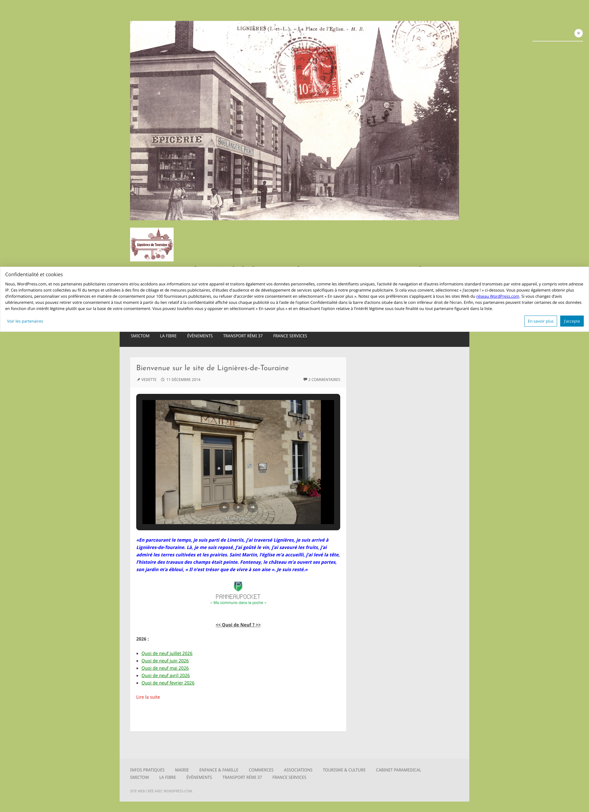 Aperçu du site