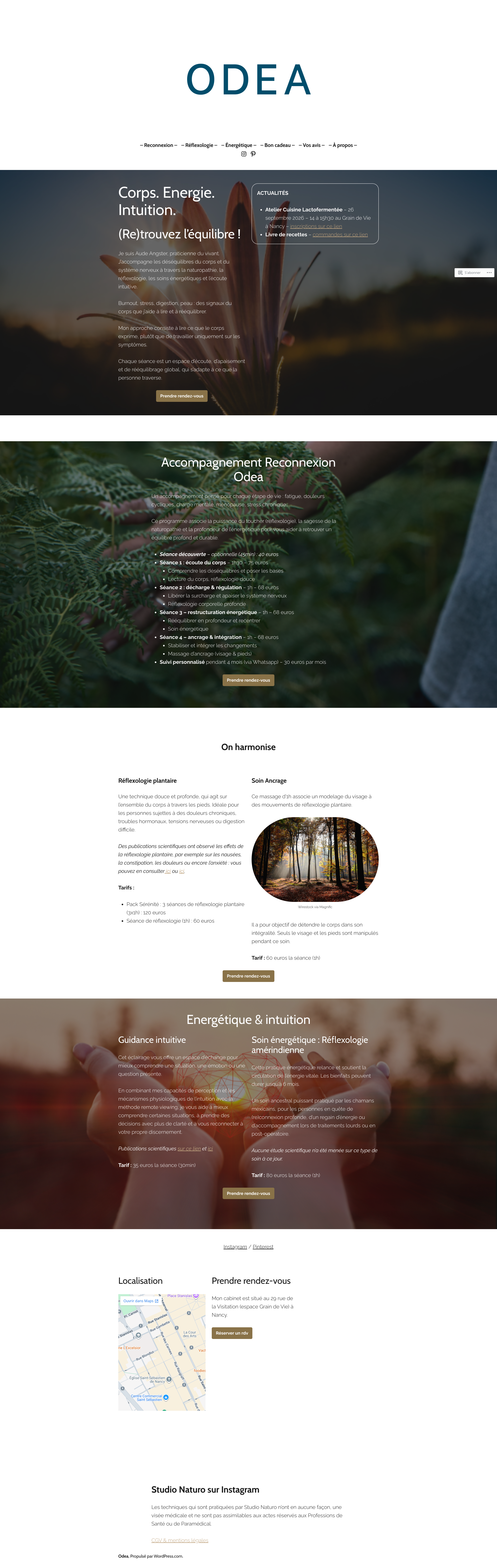 Aperçu du site