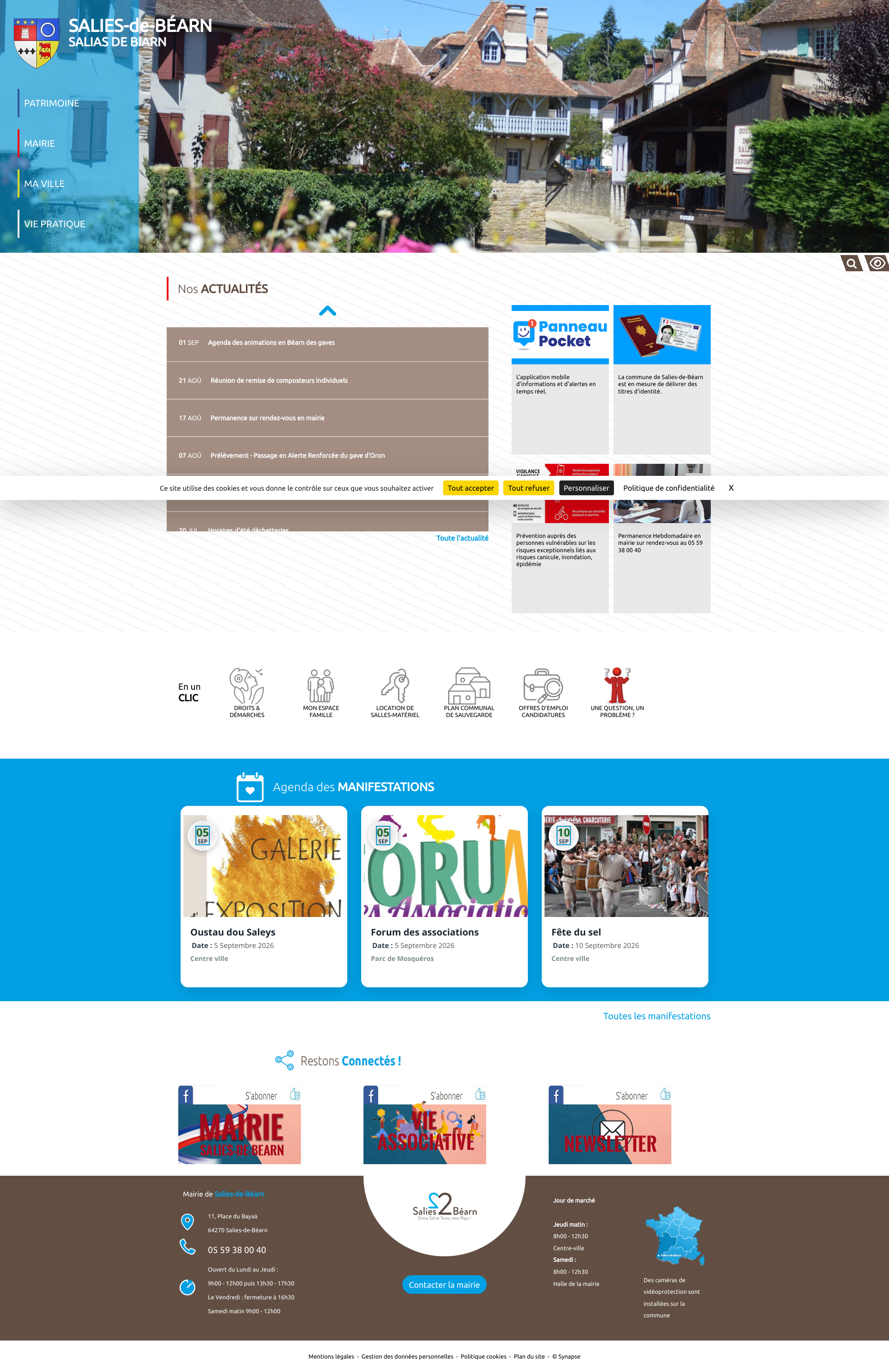 Aperçu du site