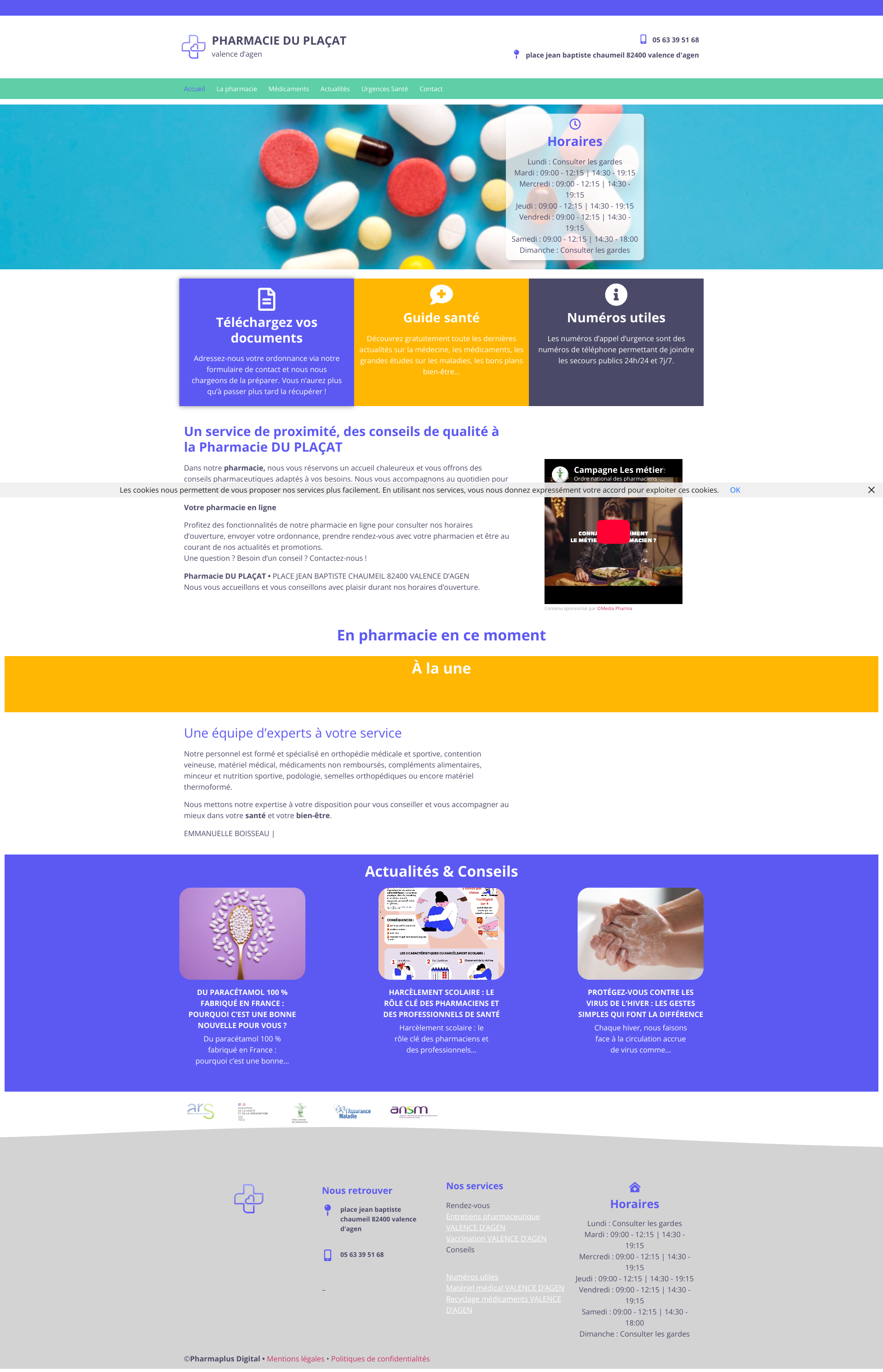 Aperçu du site