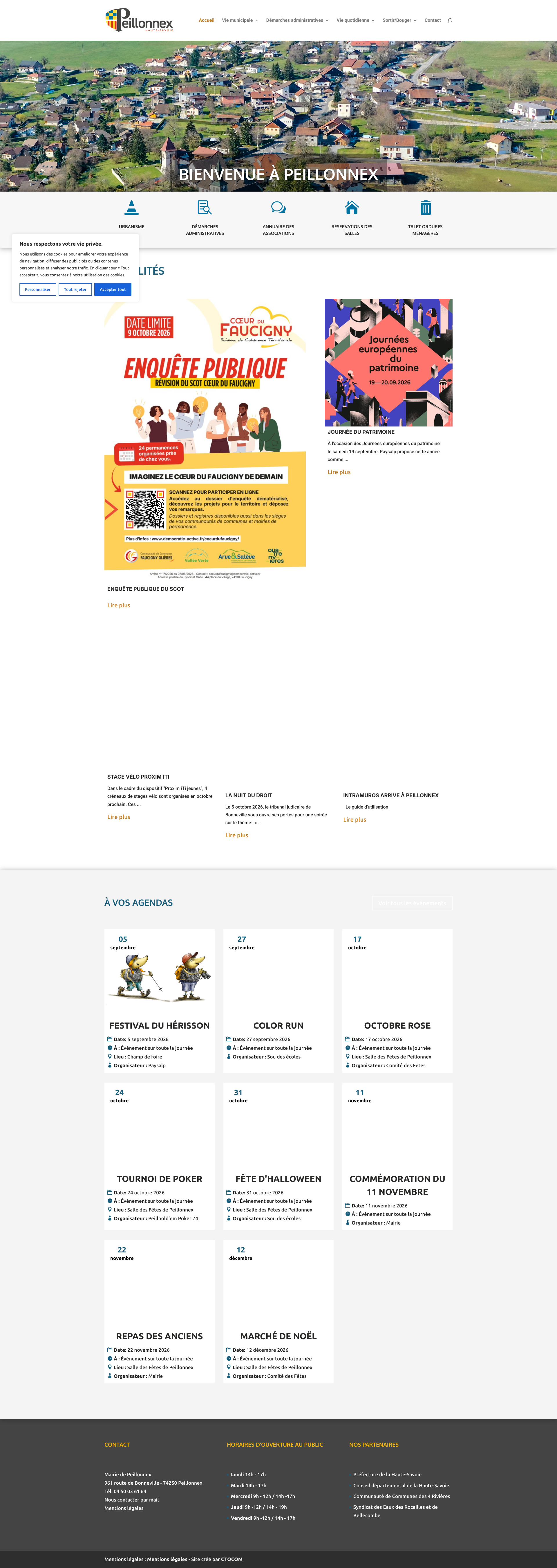 Aperçu du site