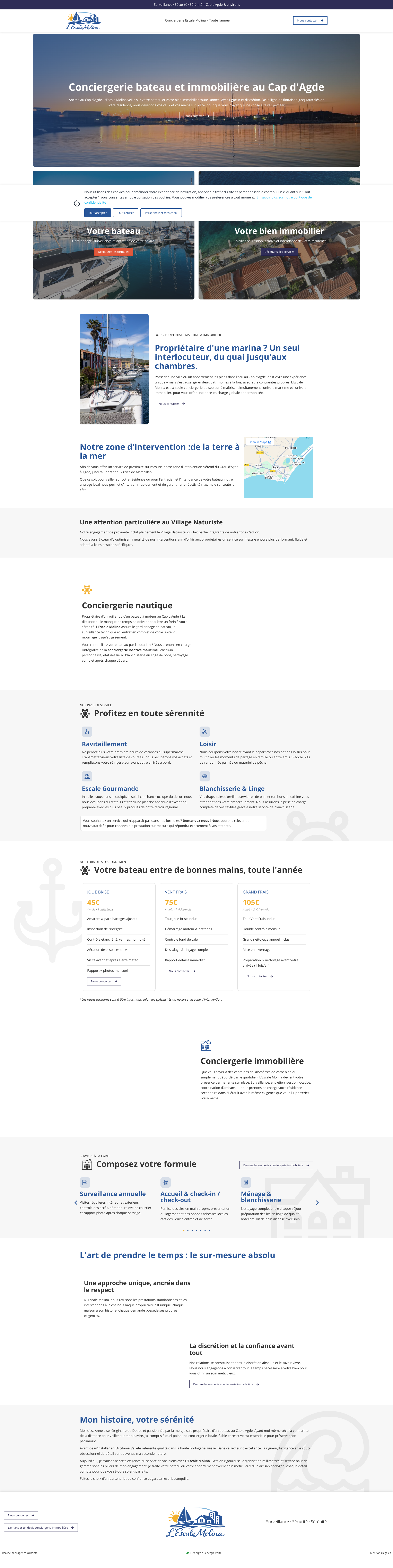 Aperçu du site