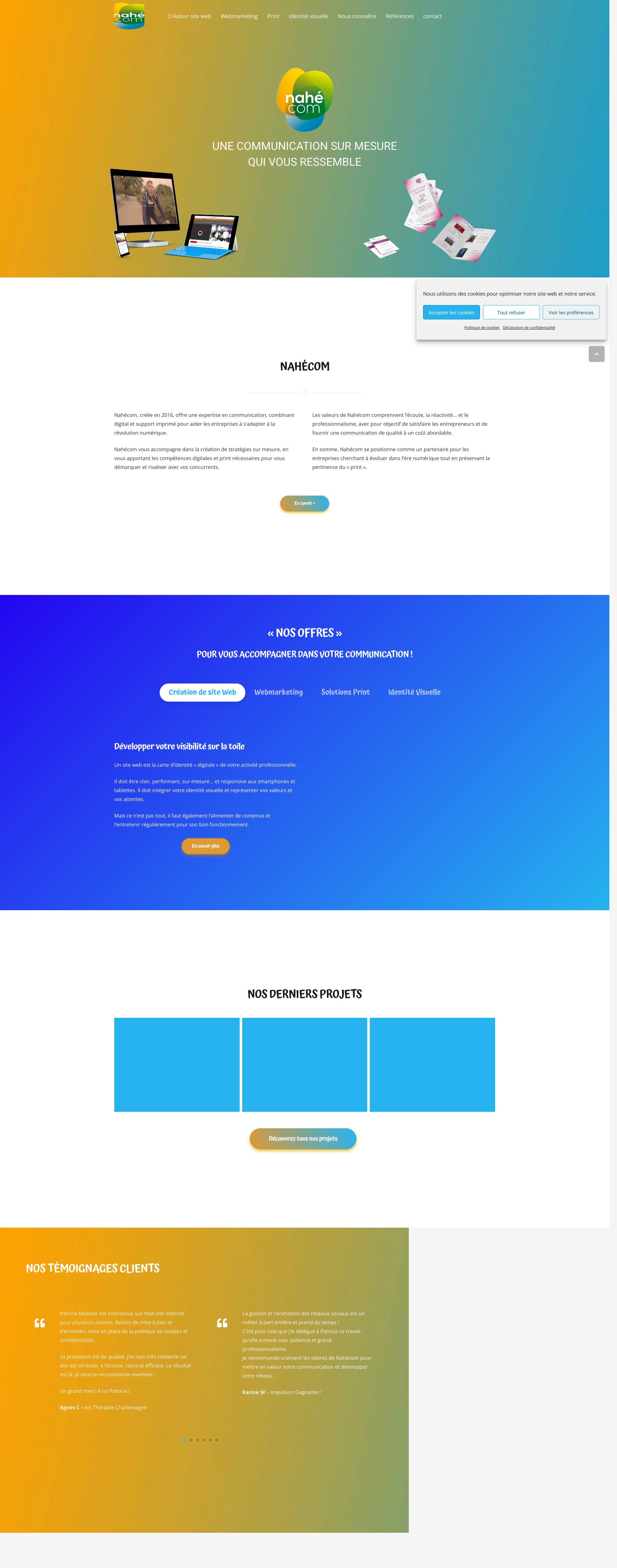 Aperçu du site