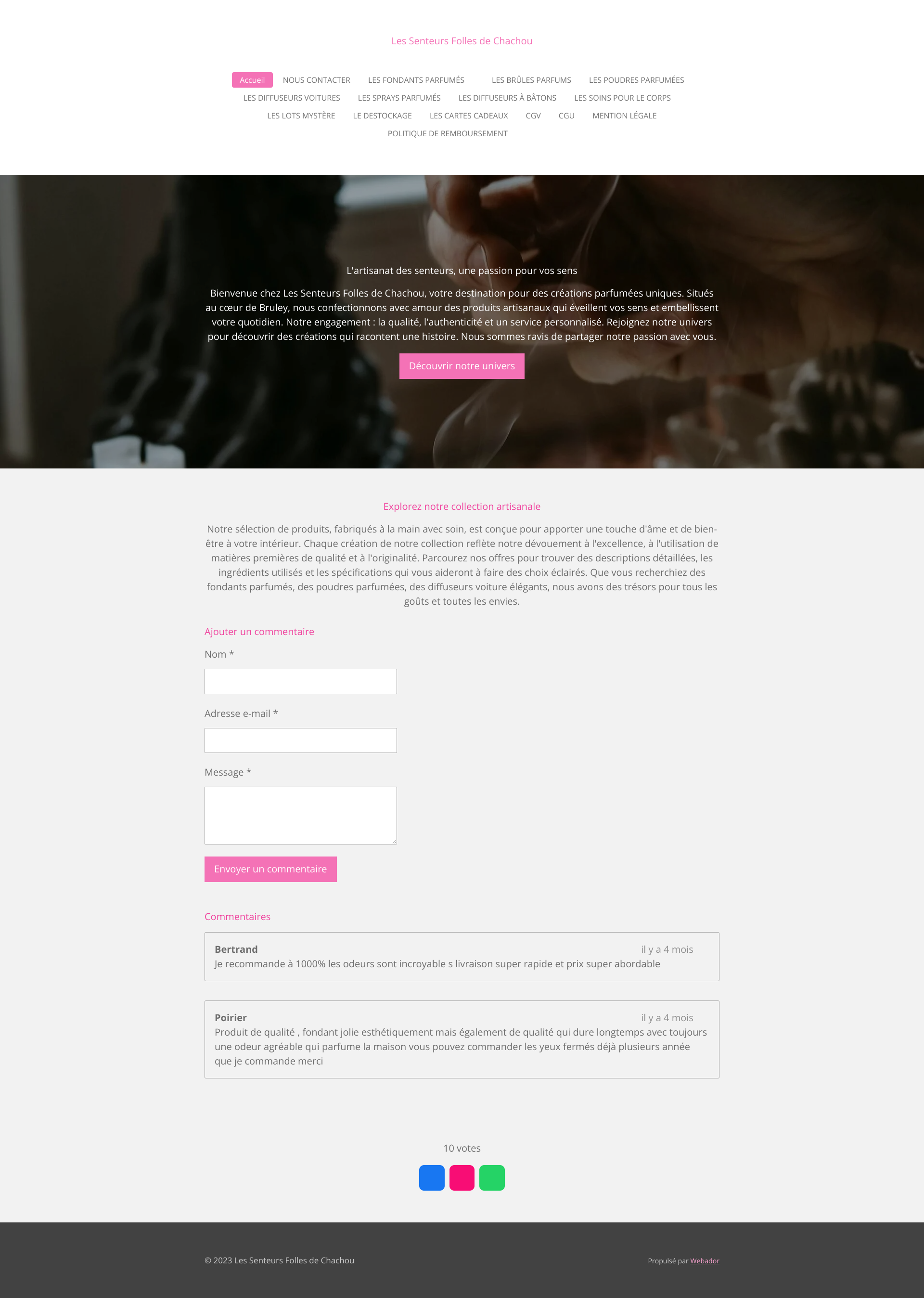 Aperçu du site