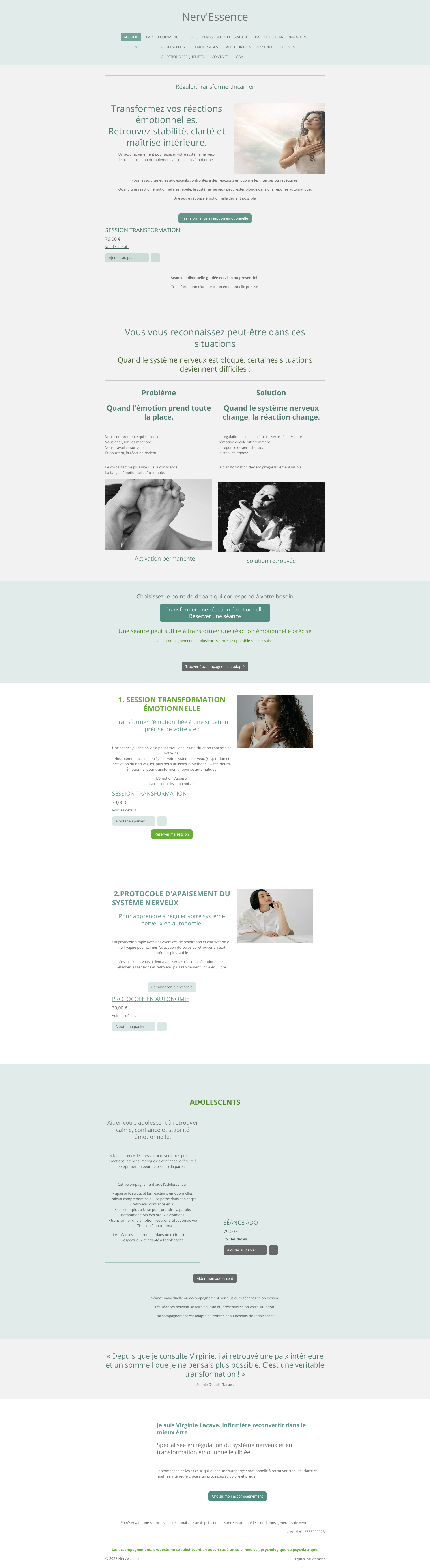 Aperçu du site