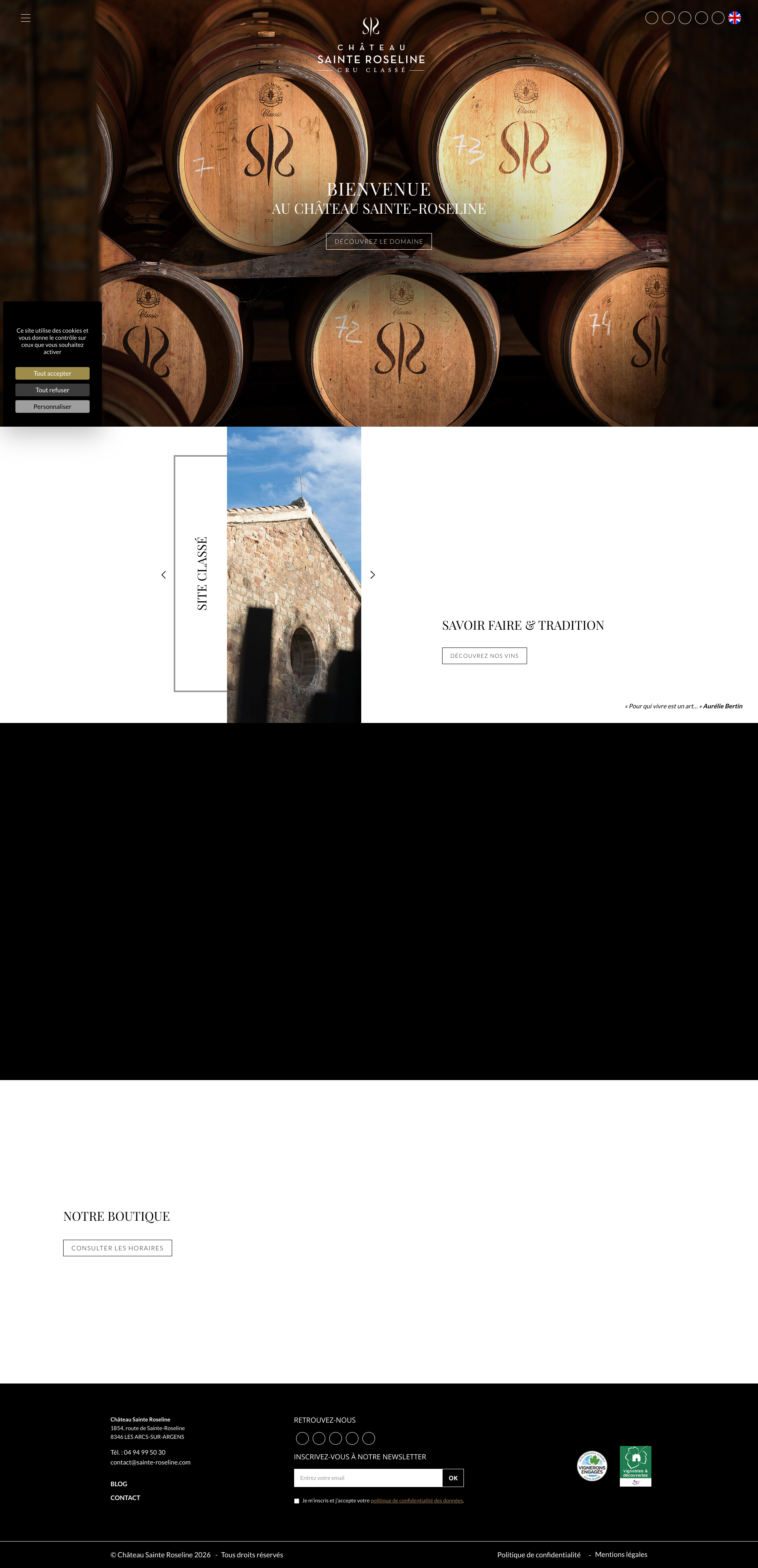 Aperçu du site