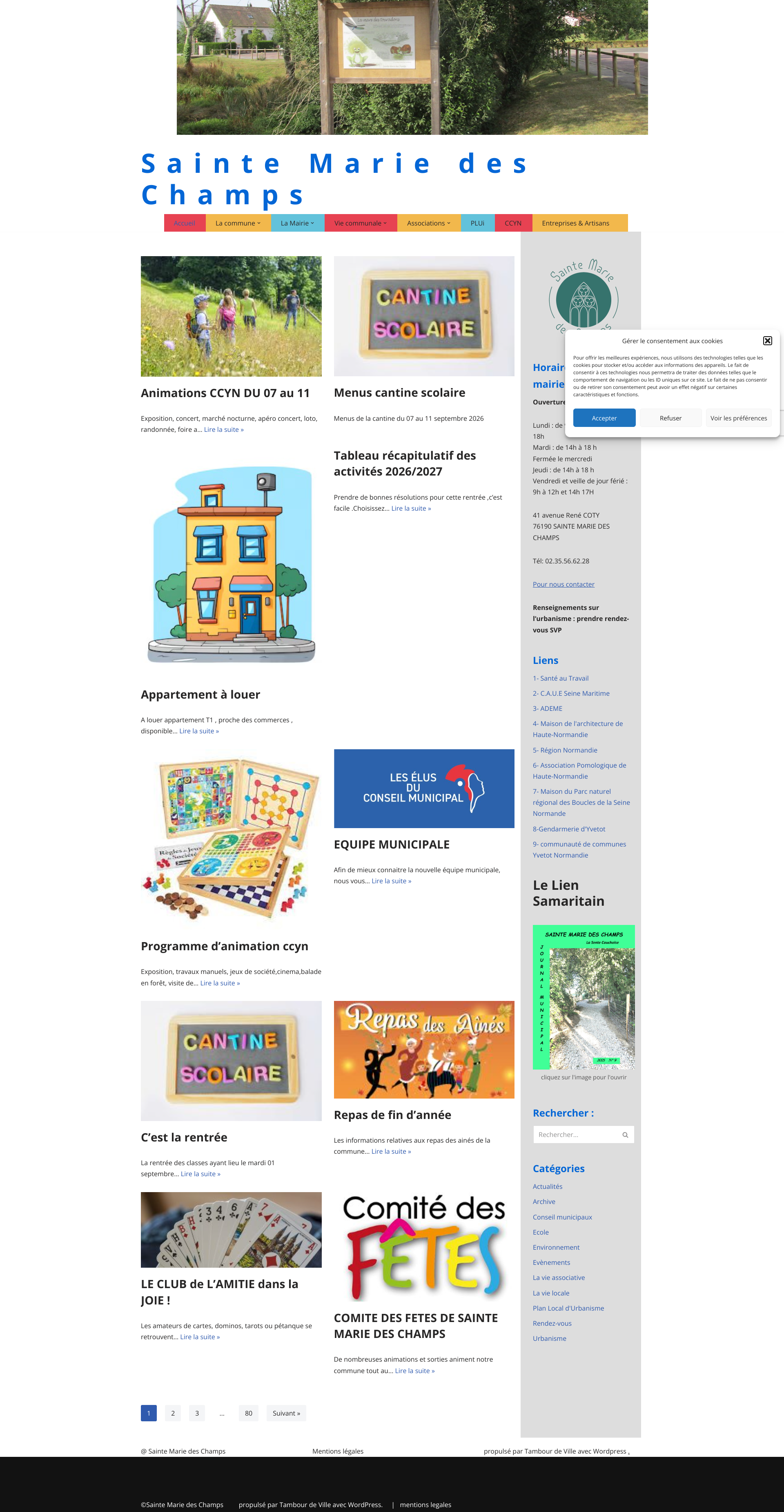 Aperçu du site