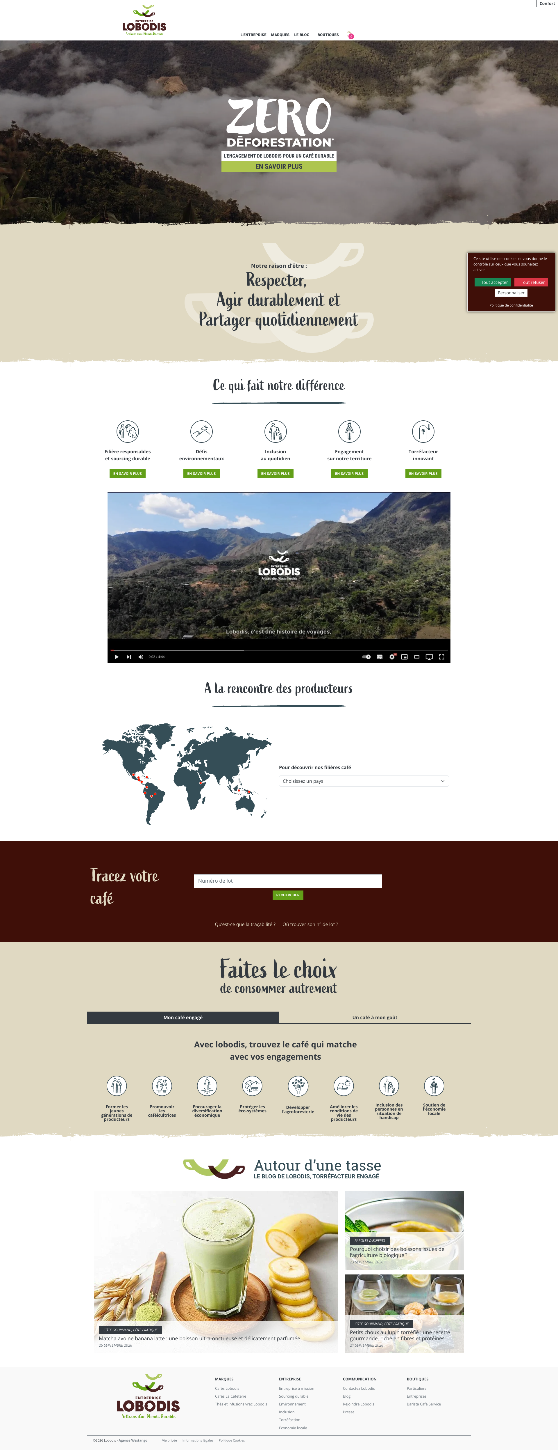 Aperçu du site