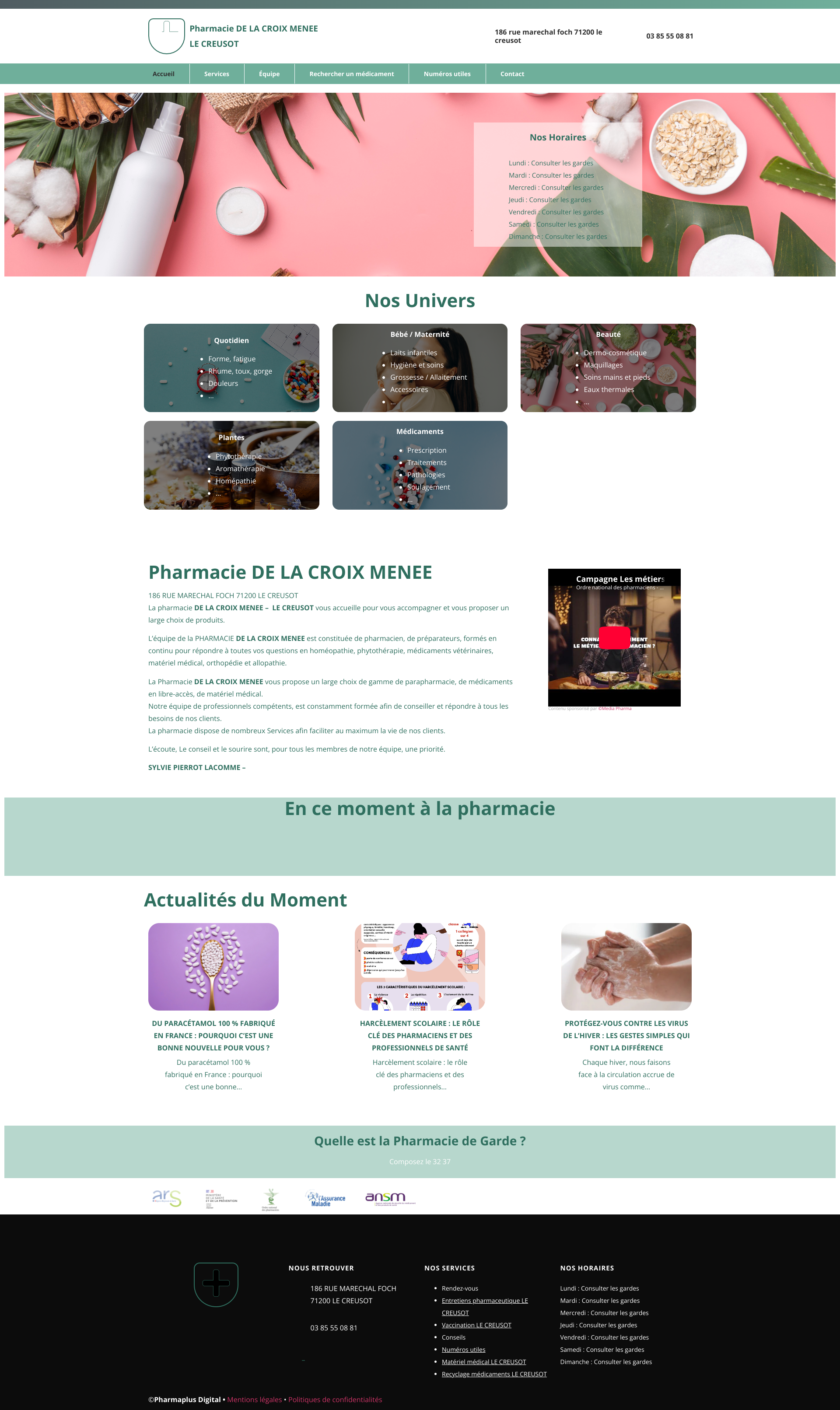 Aperçu du site