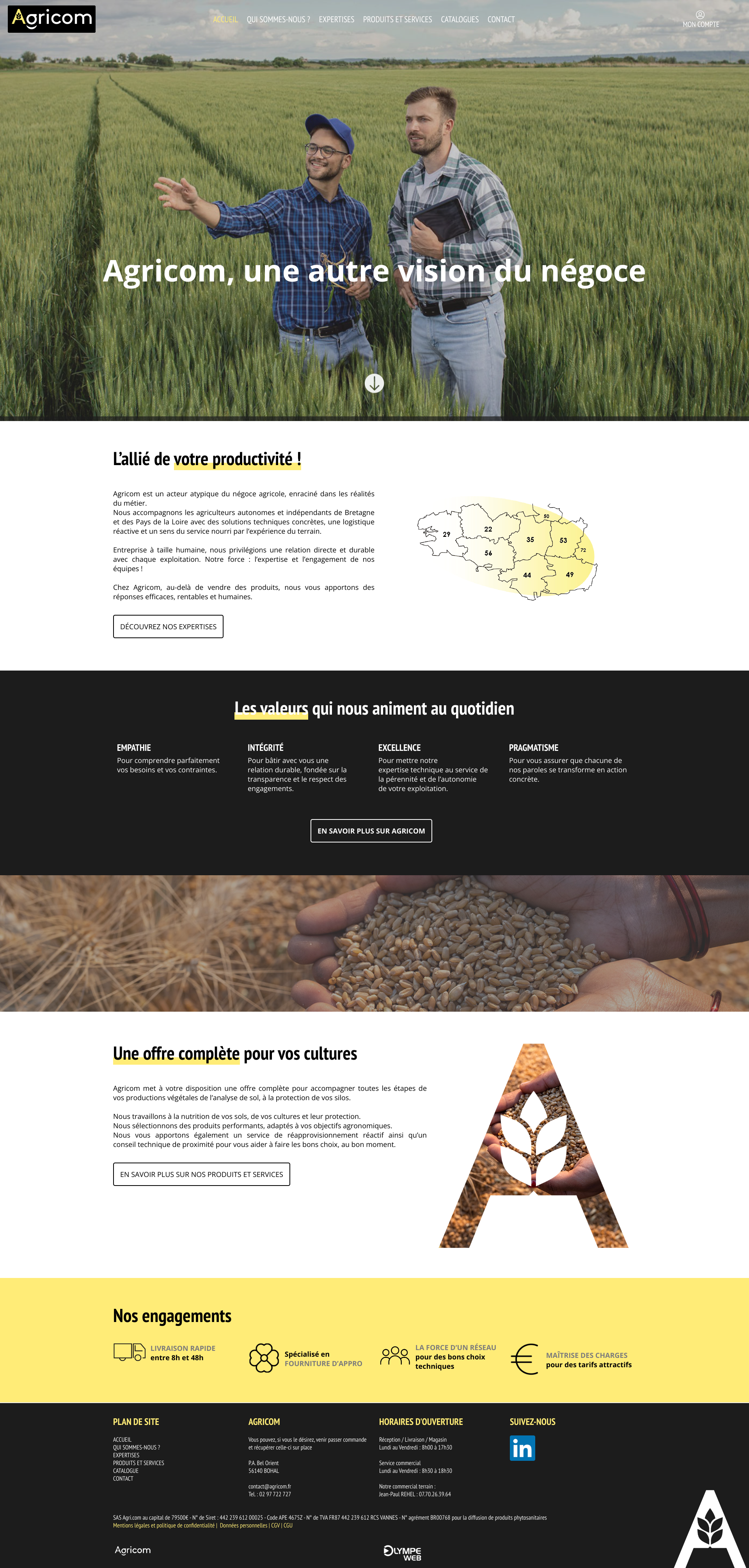 Aperçu du site