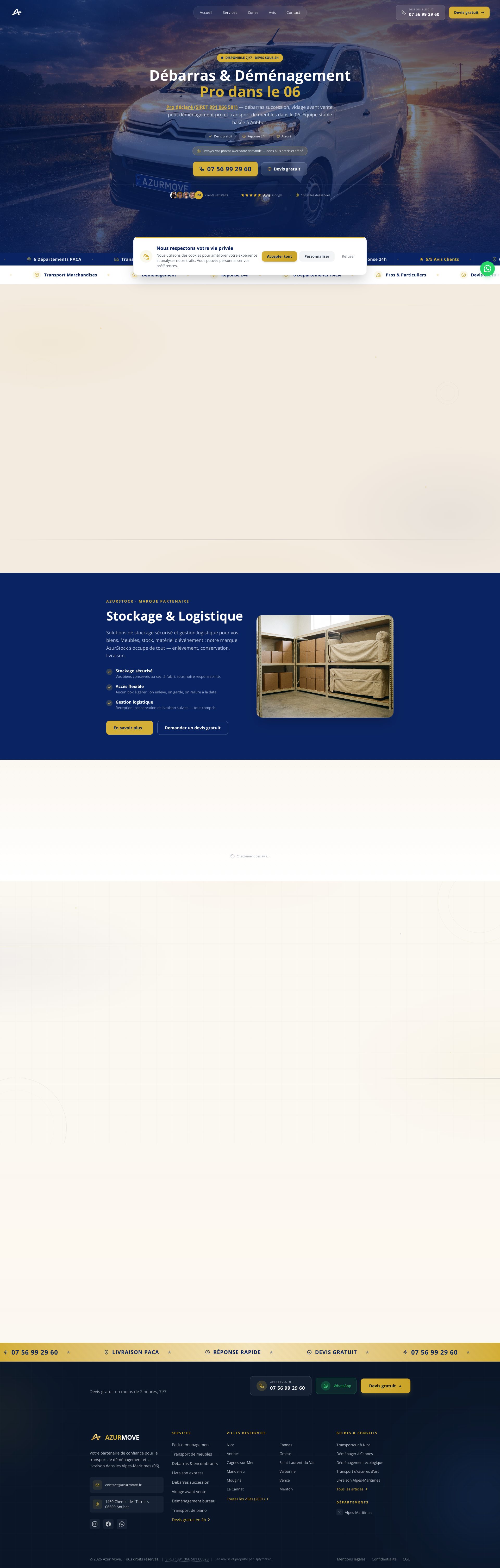 Aperçu du site