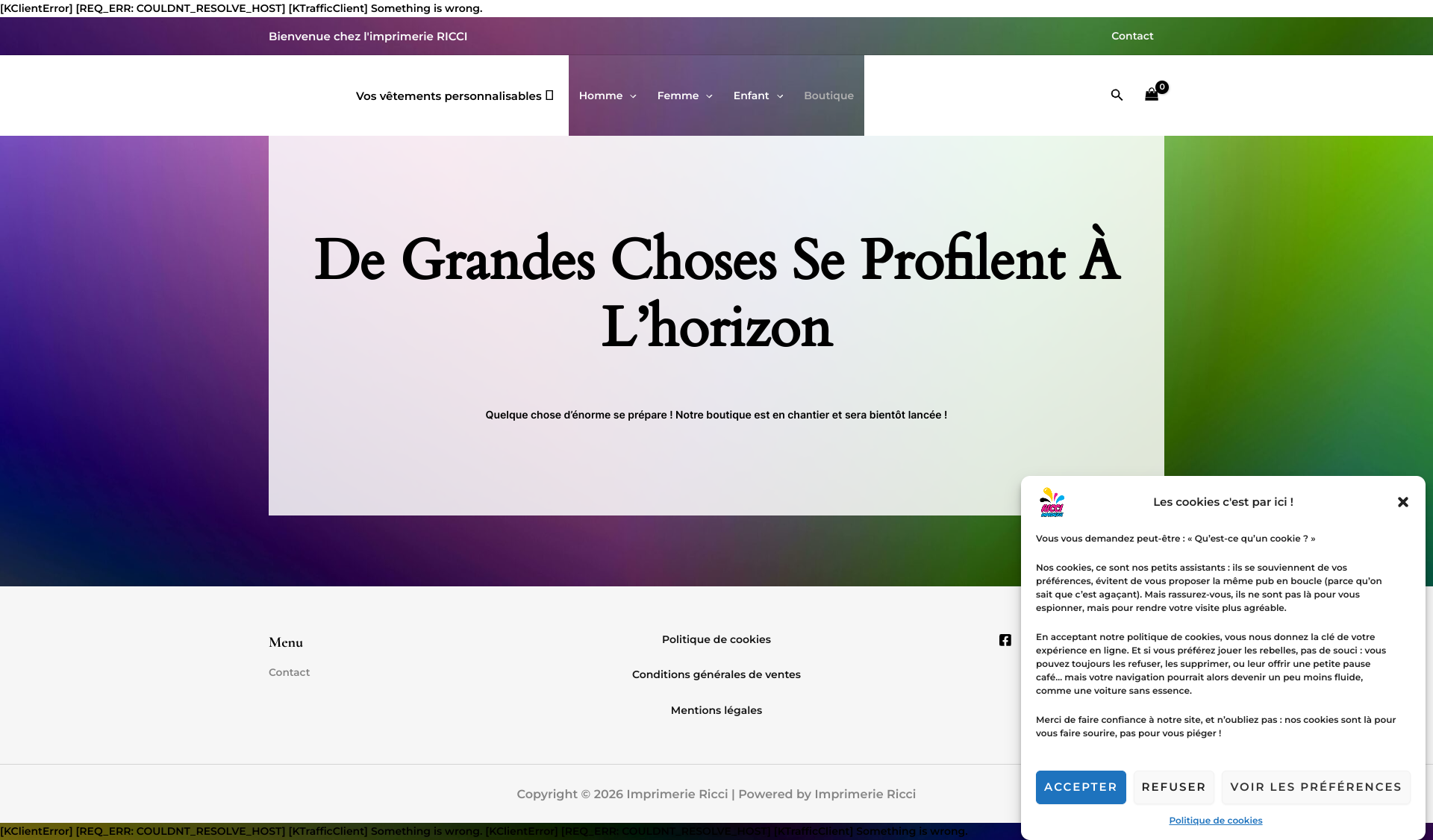 Aperçu du site