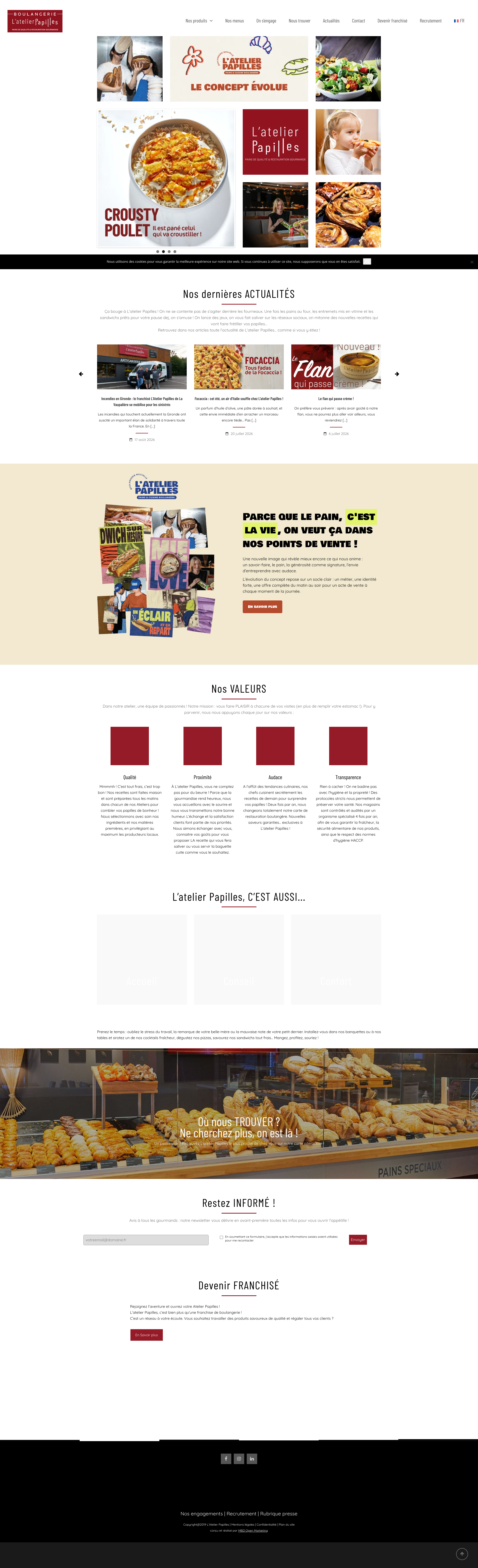 Aperçu du site