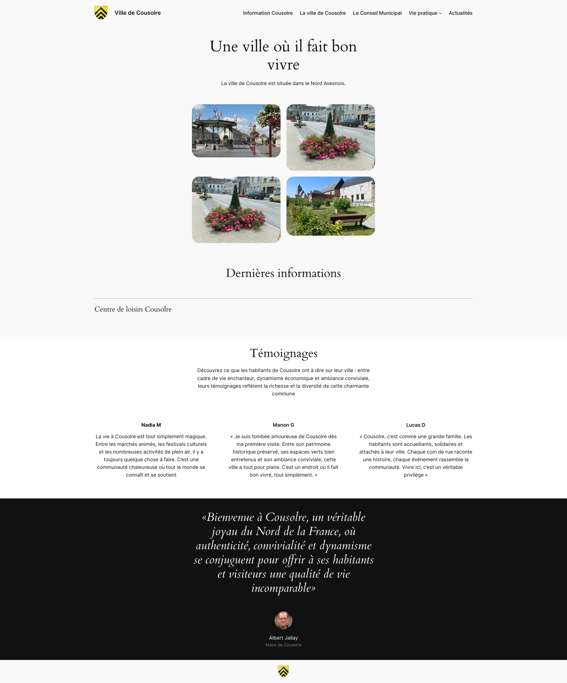 Aperçu du site