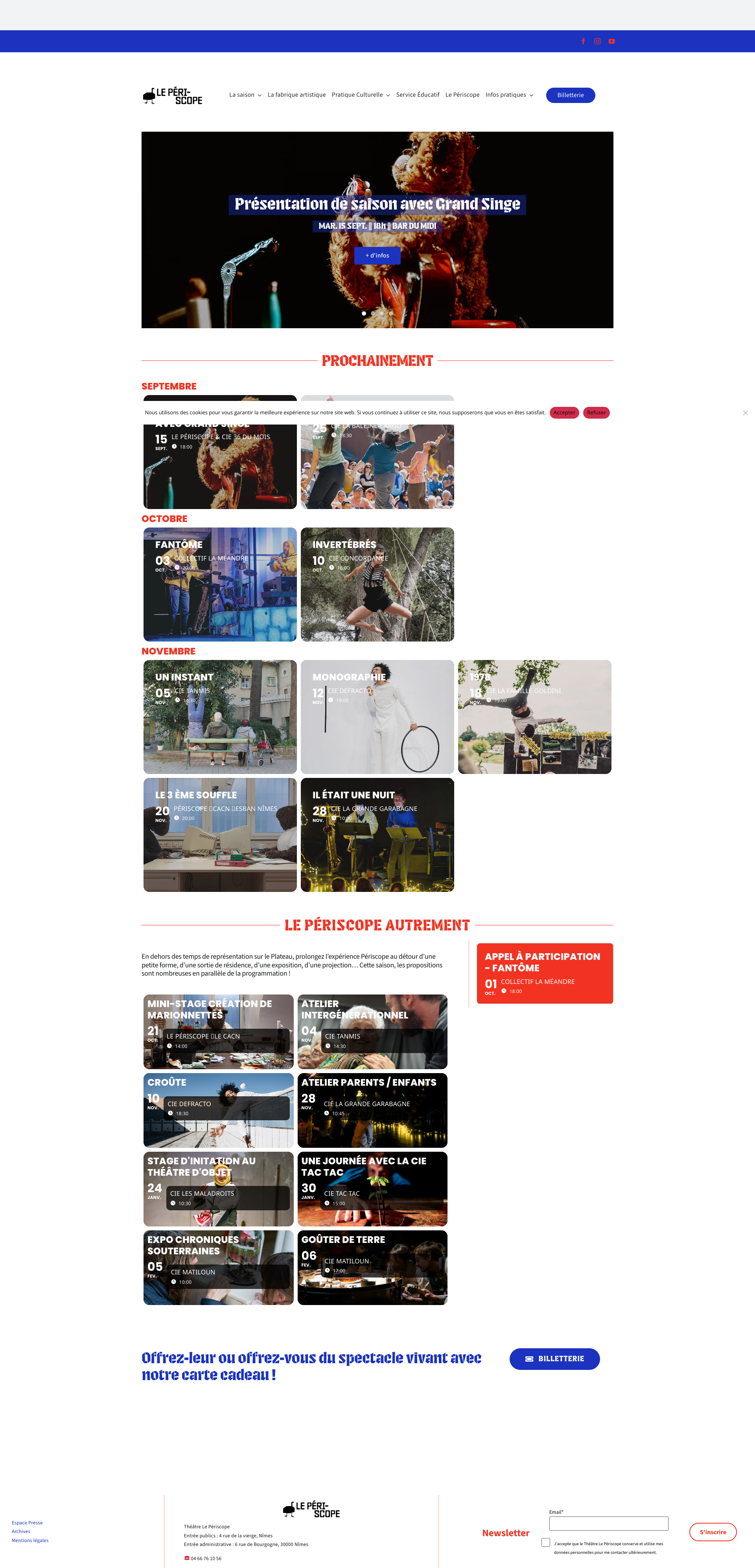 Aperçu du site