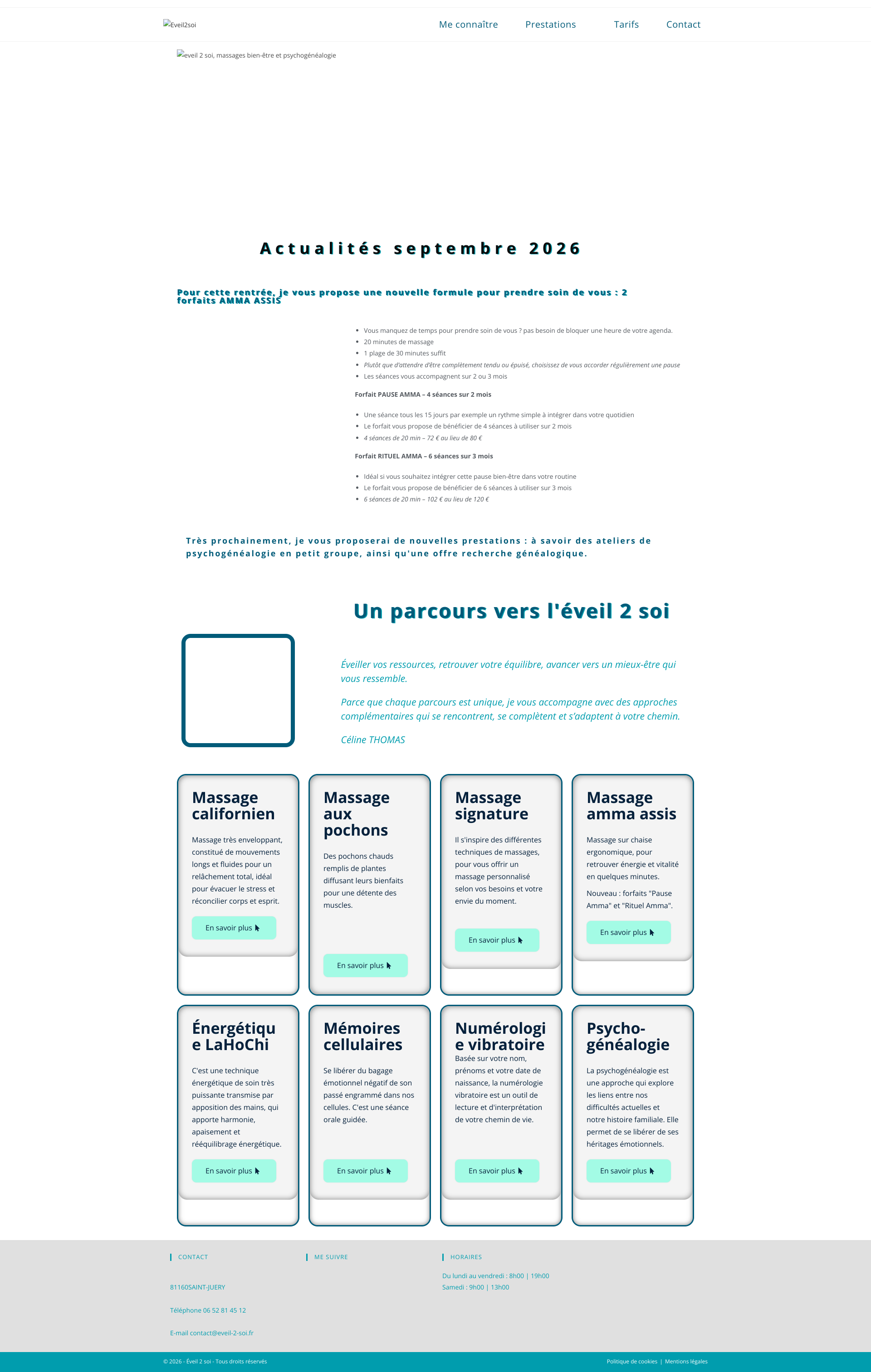 Aperçu du site