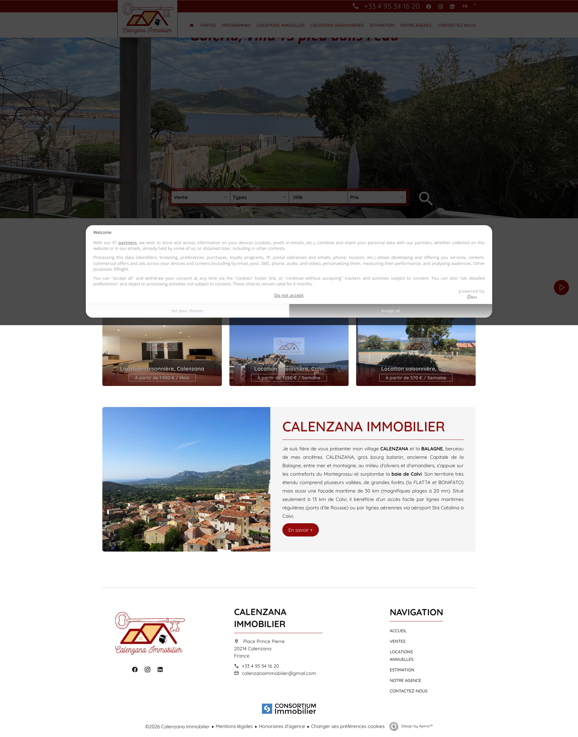 Aperçu du site