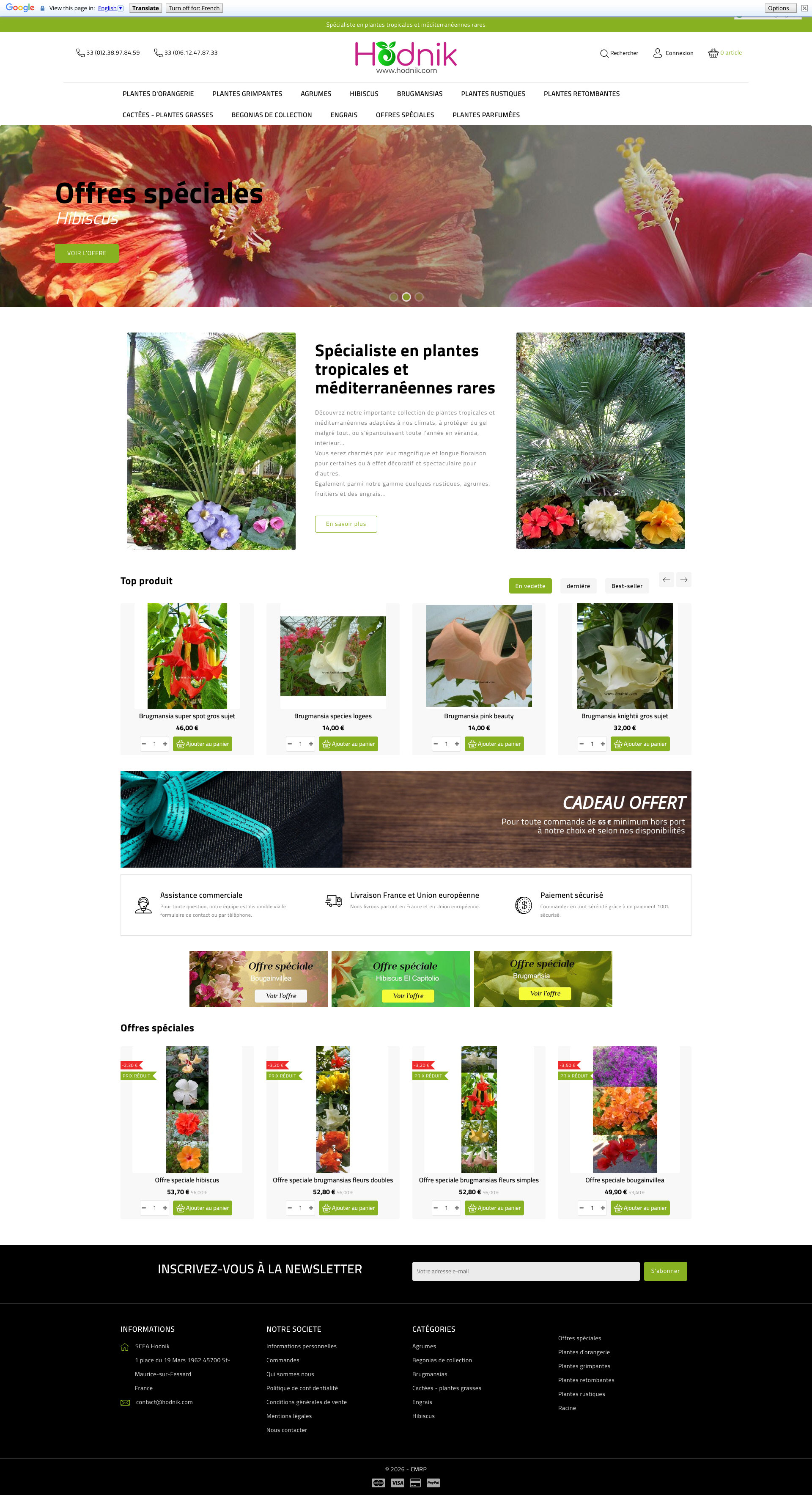 Aperçu du site