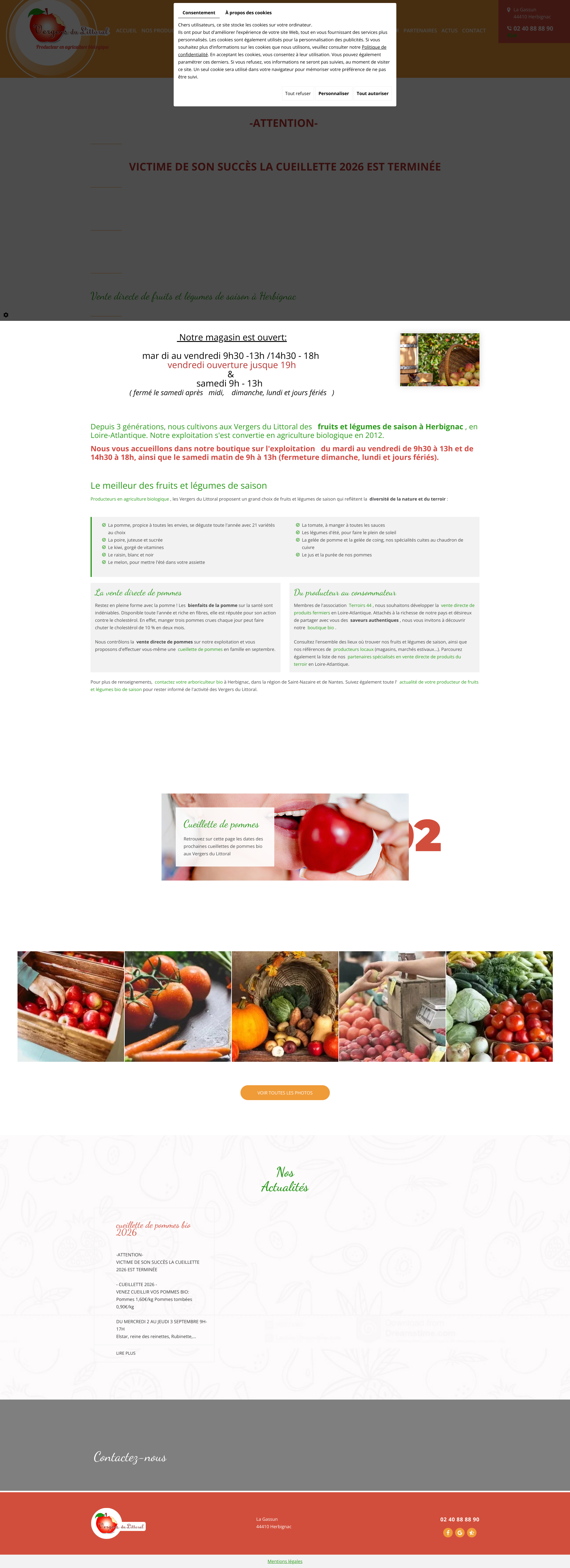 Aperçu du site